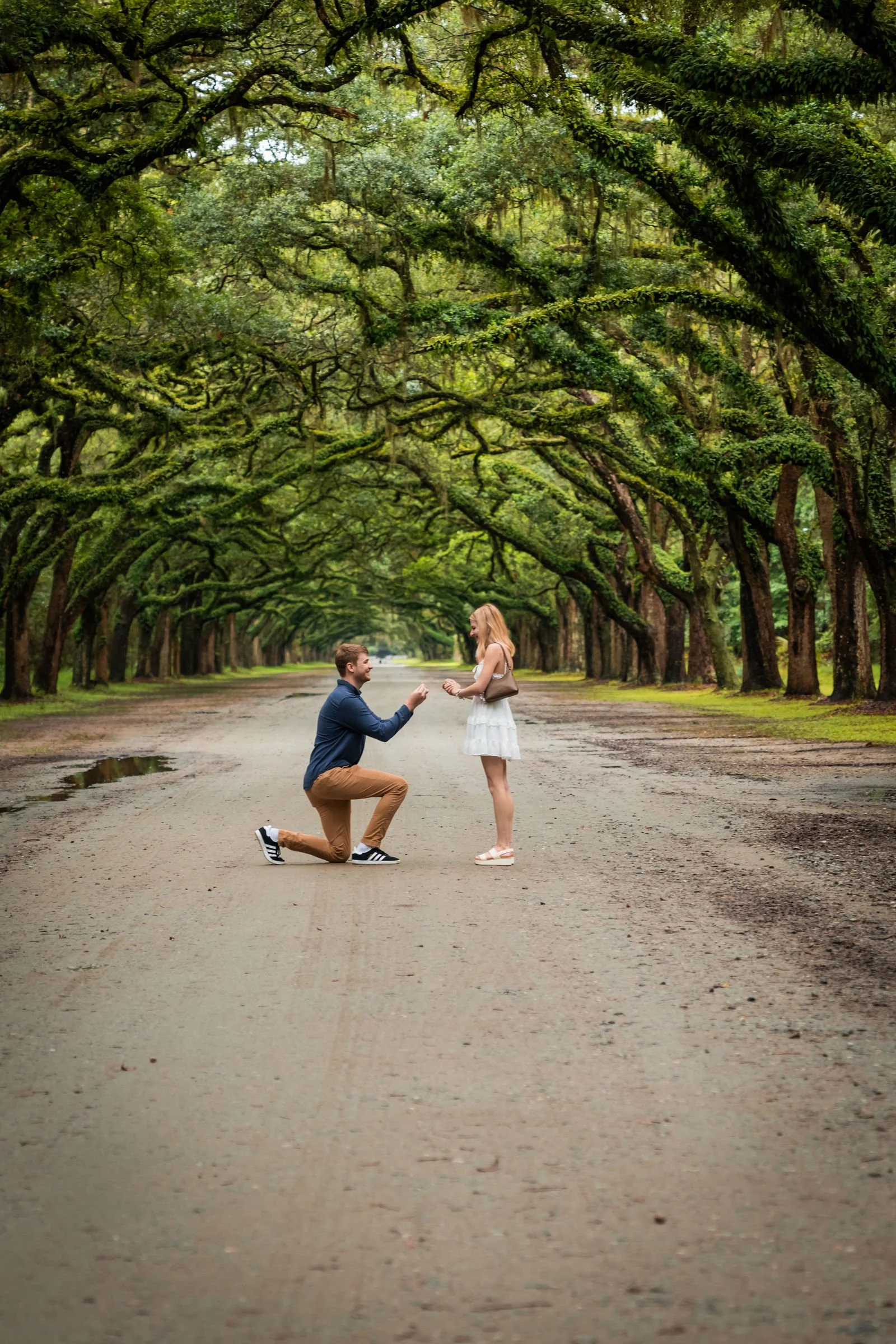couple getting engaged at wormsloe historic savannah ga proposing 2.jpeg