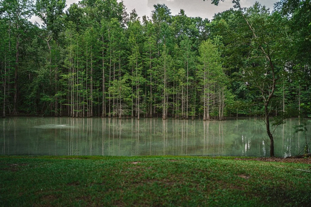Couple engagement portraits in pine forest at Chande Pines Pembroke Georgia cinematic photography