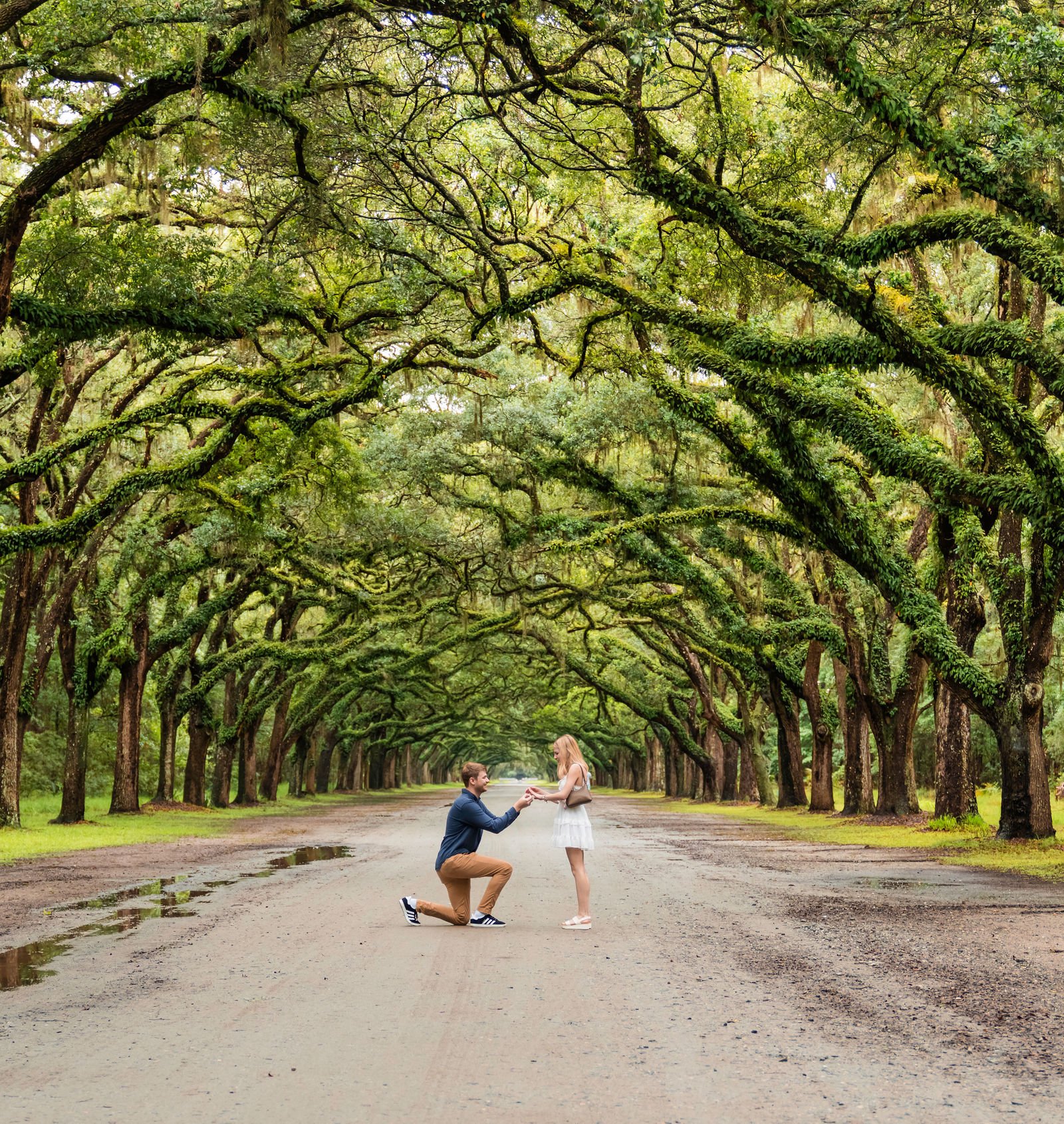 Wormsloe State Historic Site Proposal - Savannah Surprise Proposal