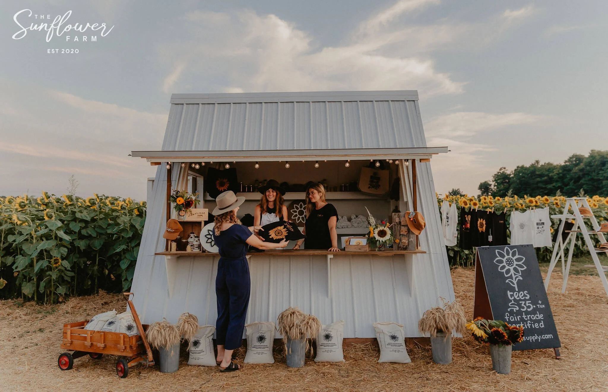 The Sunflower Farm - A-Frame Hut.jpeg