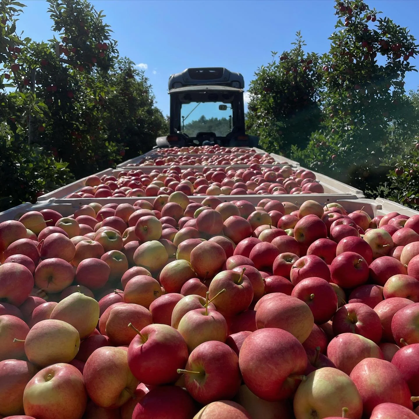 NaturesBounty-FB2.jpeg
