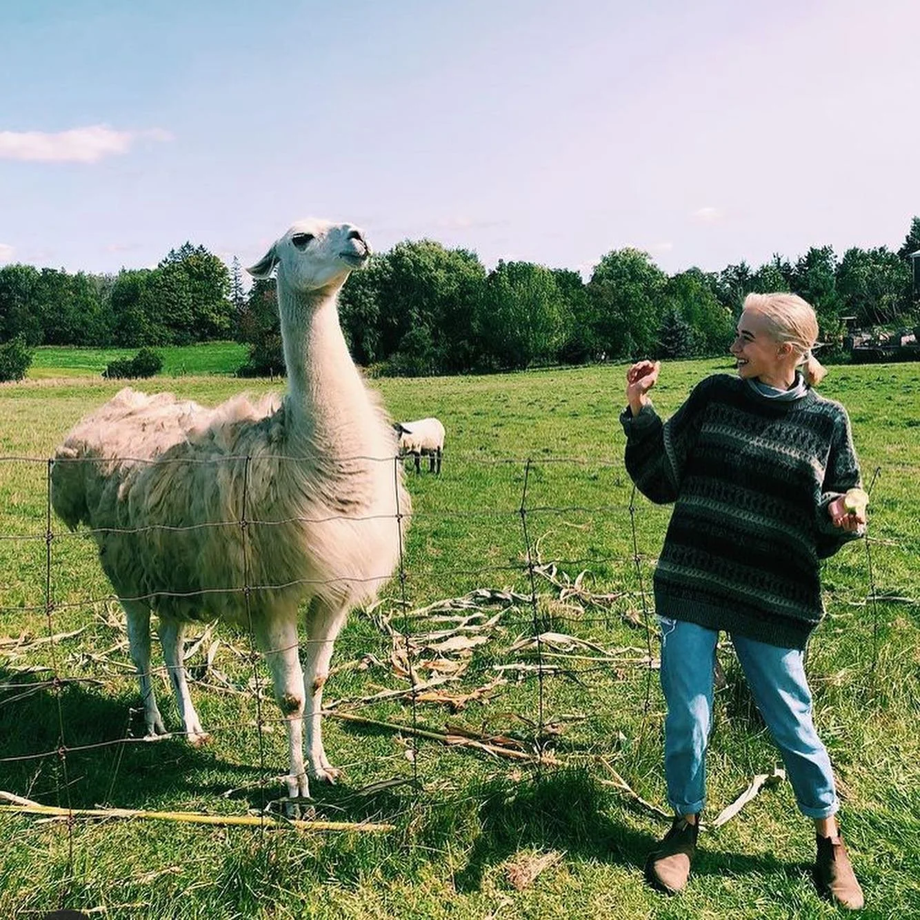Natures-Bounty-Lama.jpeg