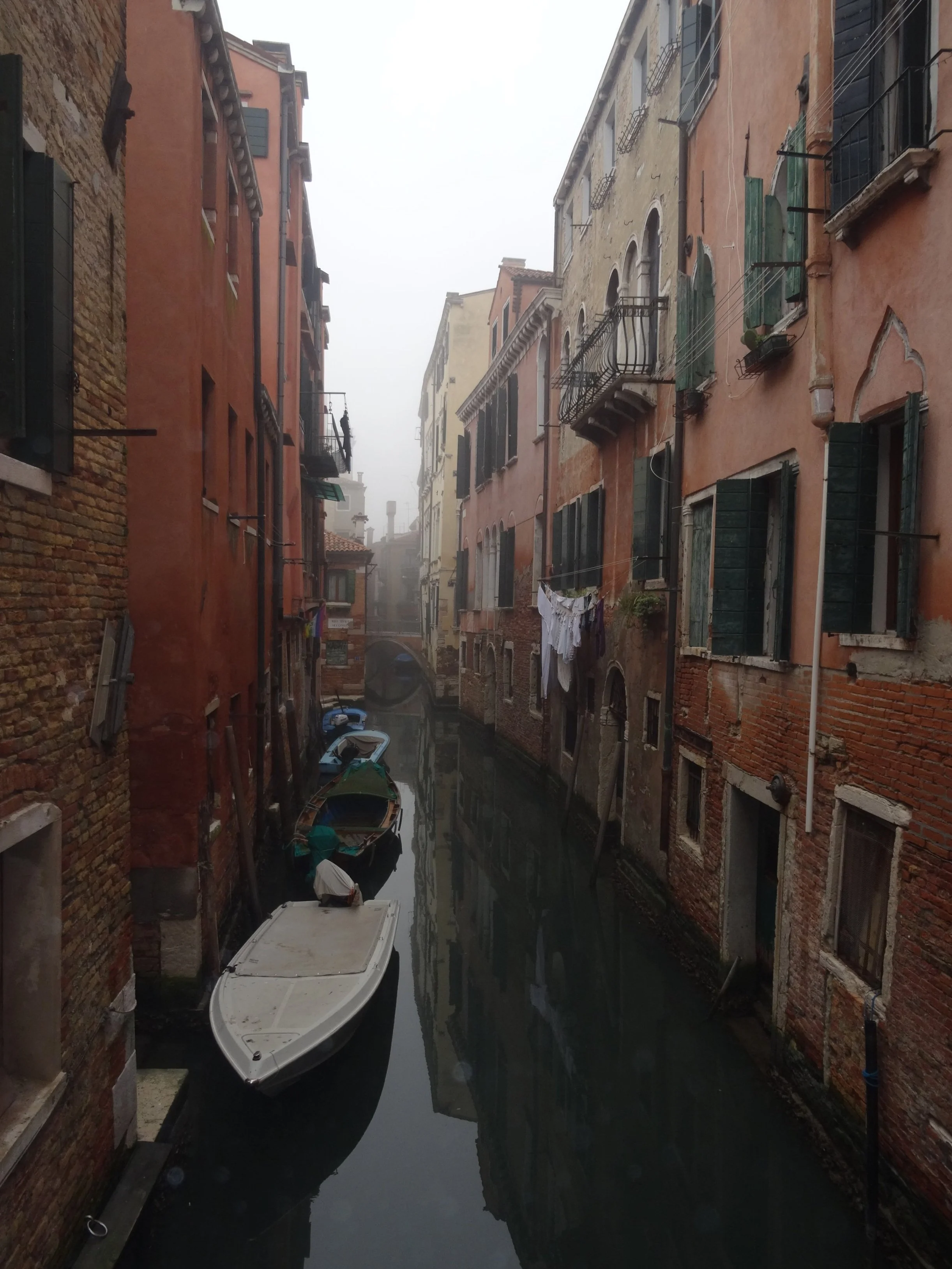 DSC00540.jpg
