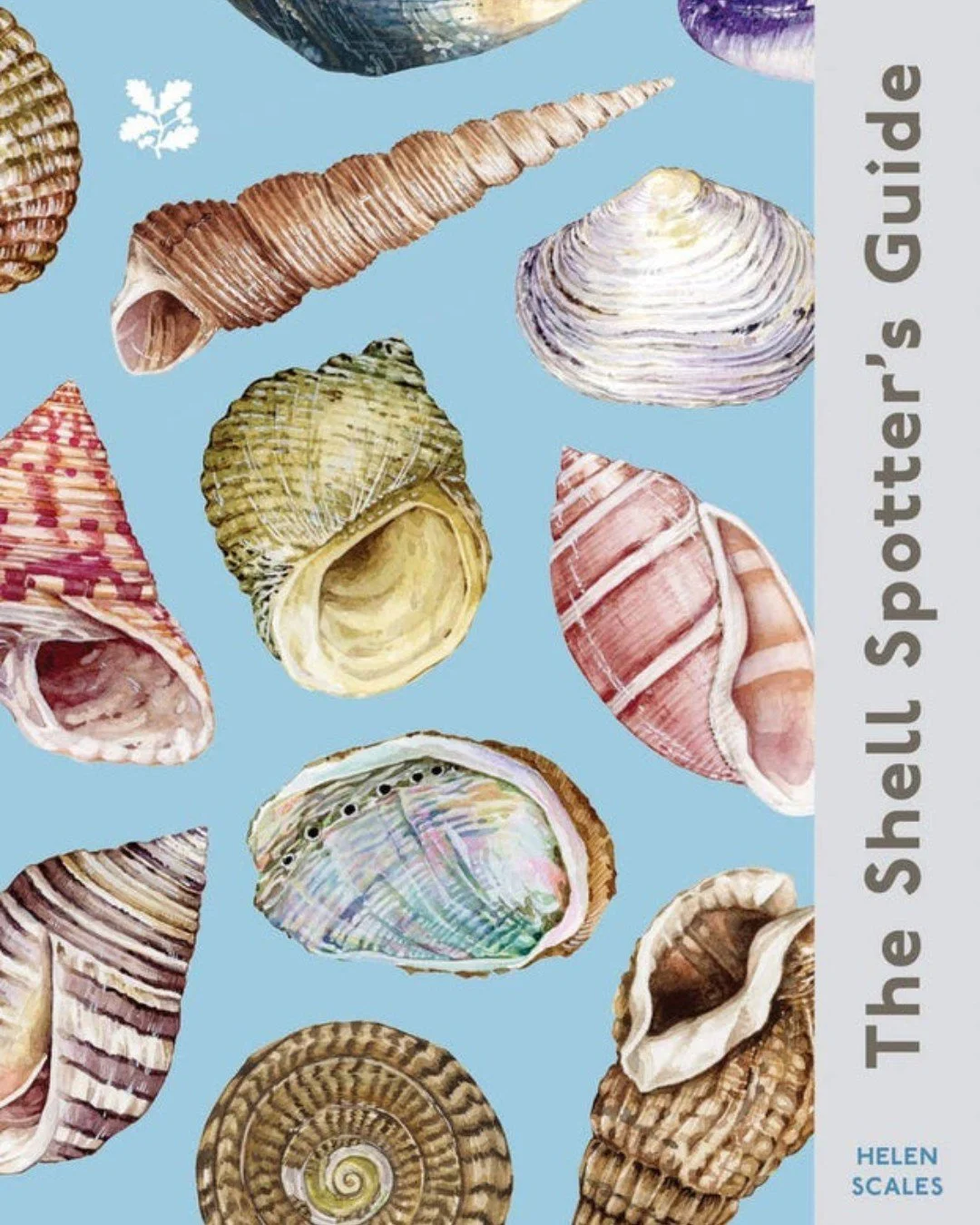 Summer days spent strolling along the shoreline are right around the corner ☀️🌊

We are swooning over The Shell Spotter&rsquo;s Guide a beautiful coffee table book perfect for coastal dreamers, beach house styling, and anyone who finds joy in collec