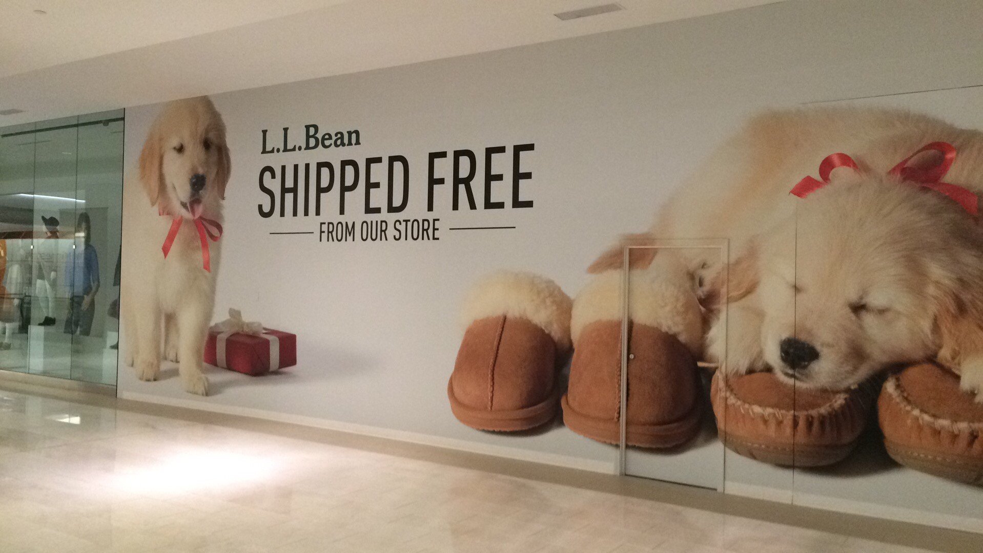 LL Bean 2 11-15.jpg