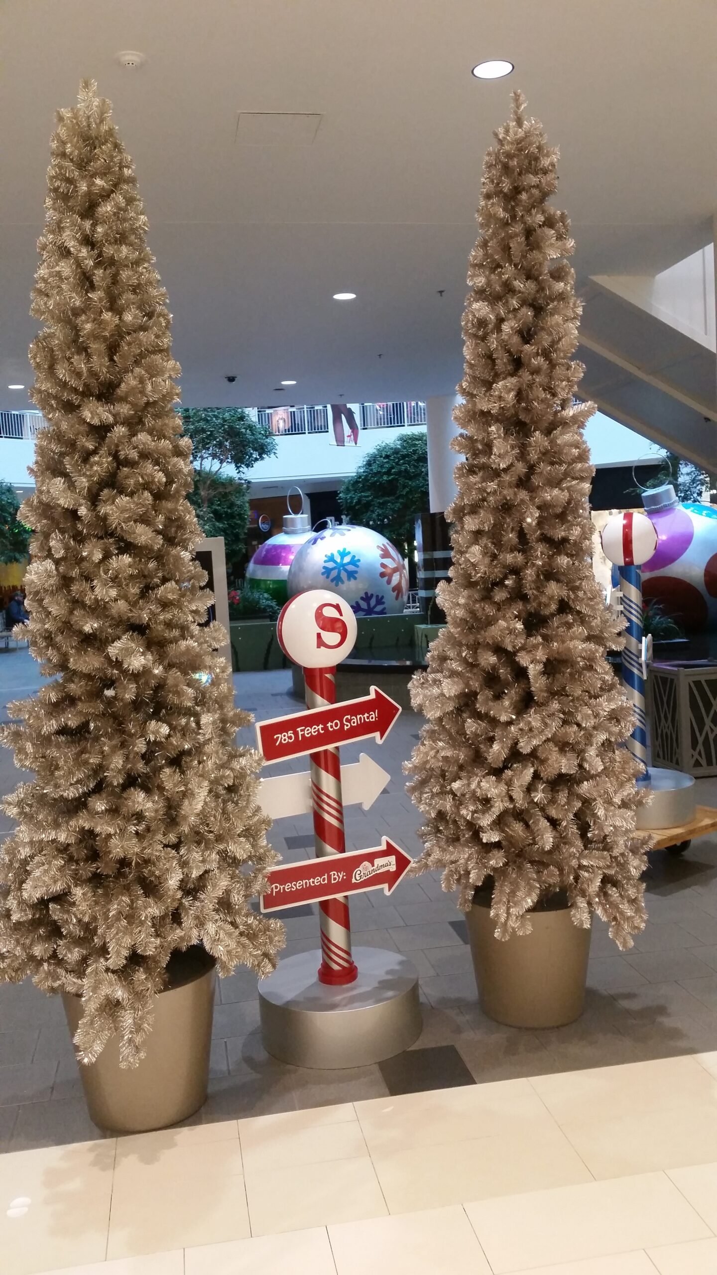 20151215_080655-scaled.jpg