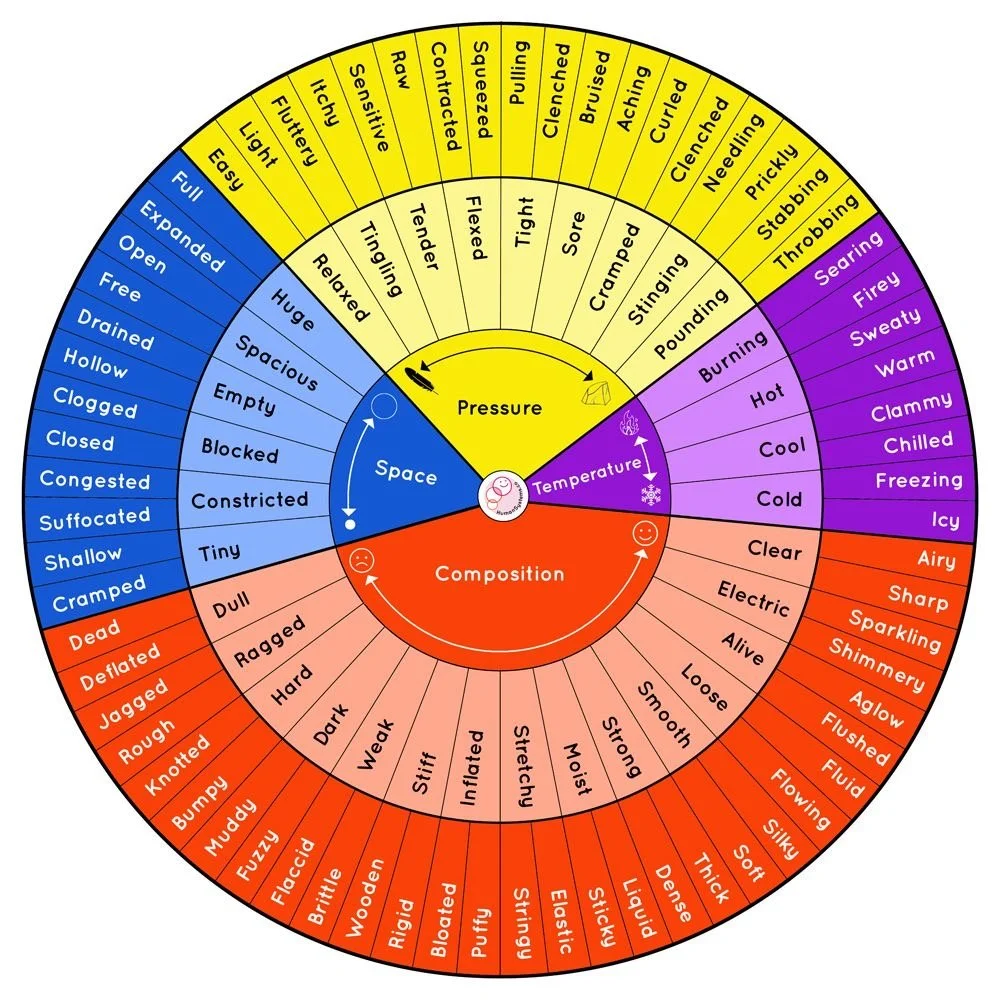 Bodily Sensations Wheel.JPG