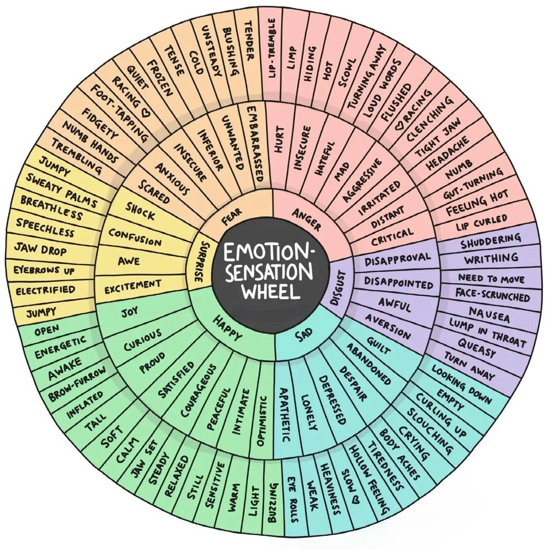 Feelings Wheel - Somatic.jpg