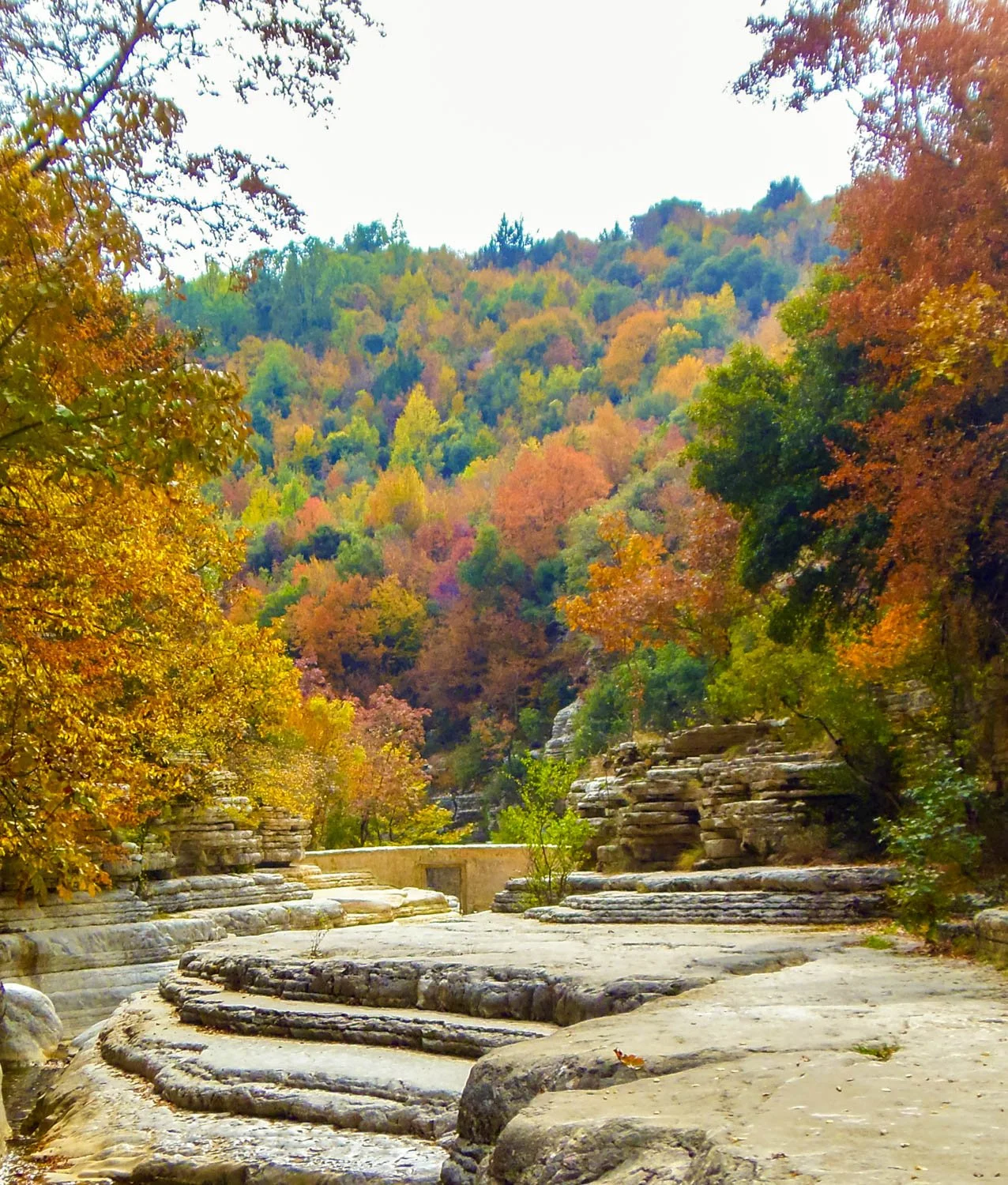 A scenic view of a canyon with layered rock formations surrounded by colorful autumn trees on a hillside.