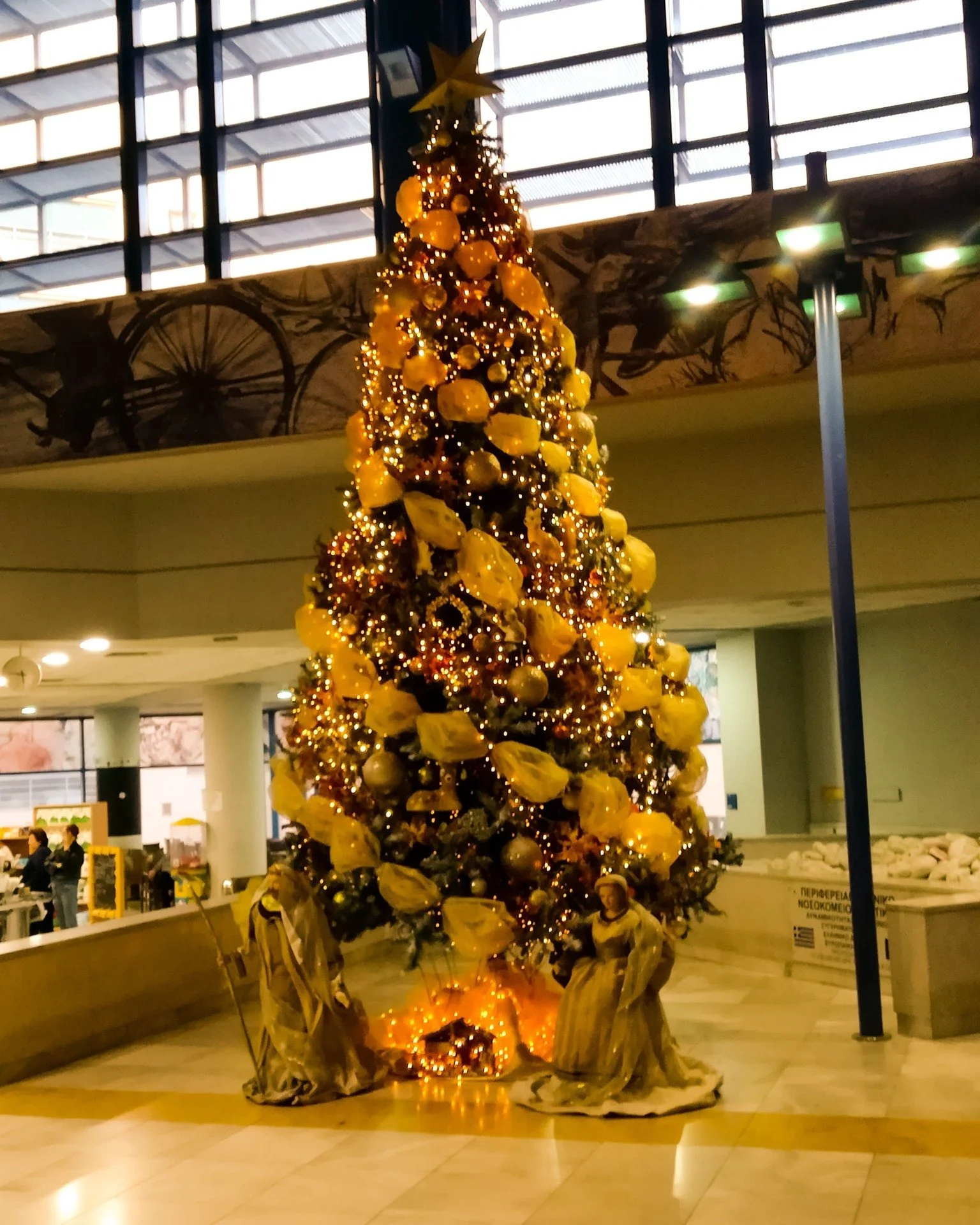 Christmas Tree with no fun

#christmasphotoshoot #christmasdecorating #christmaslove #decorative  #holidaygifts