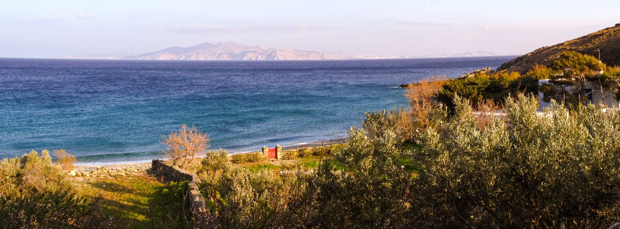 Wild Panorama Beauty