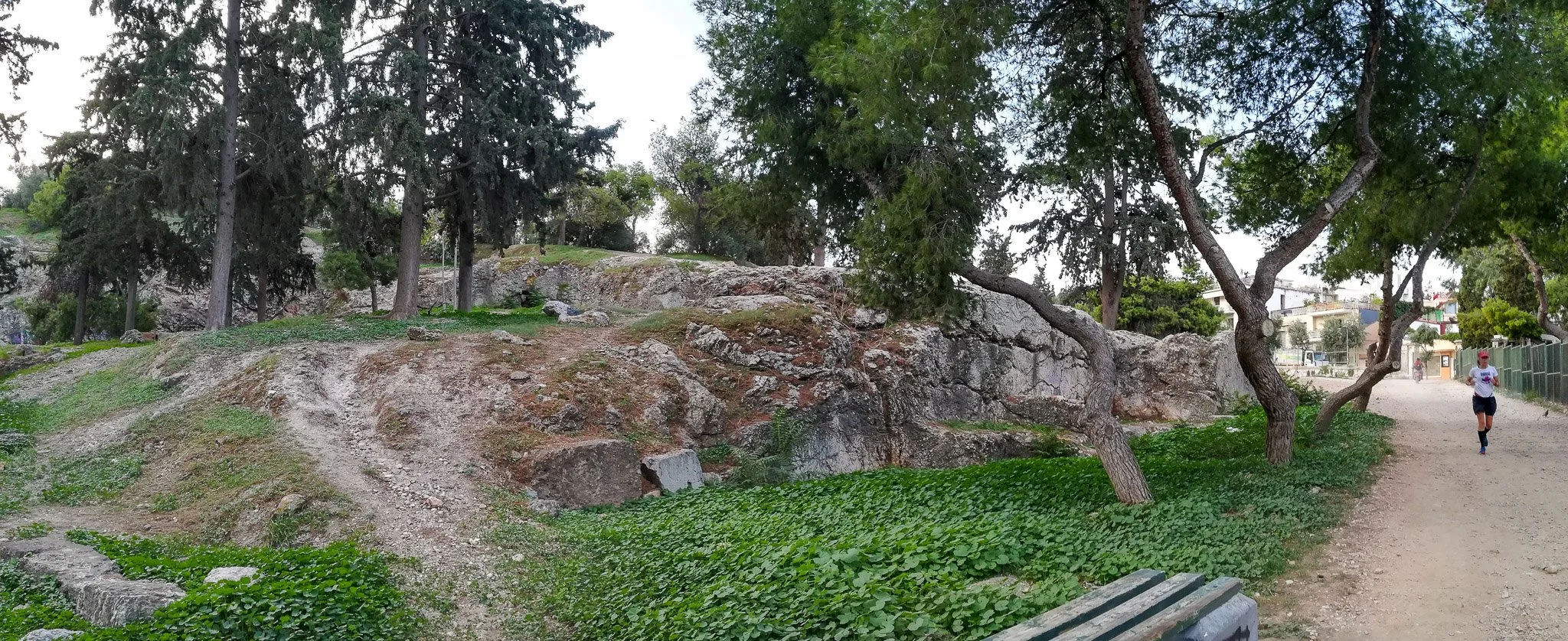 IMG_20231011_082733-Pano.jpg