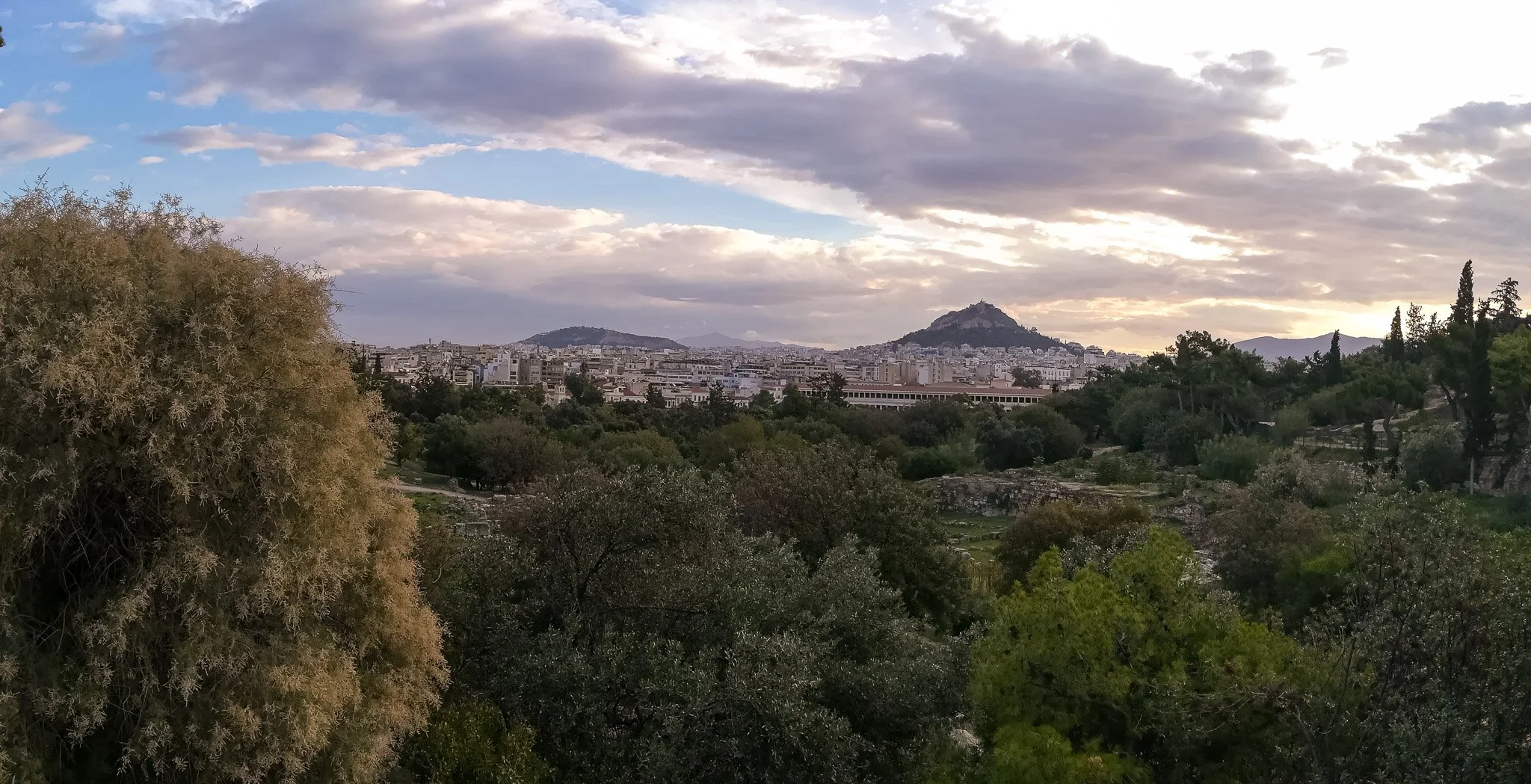 LANDSCAPE