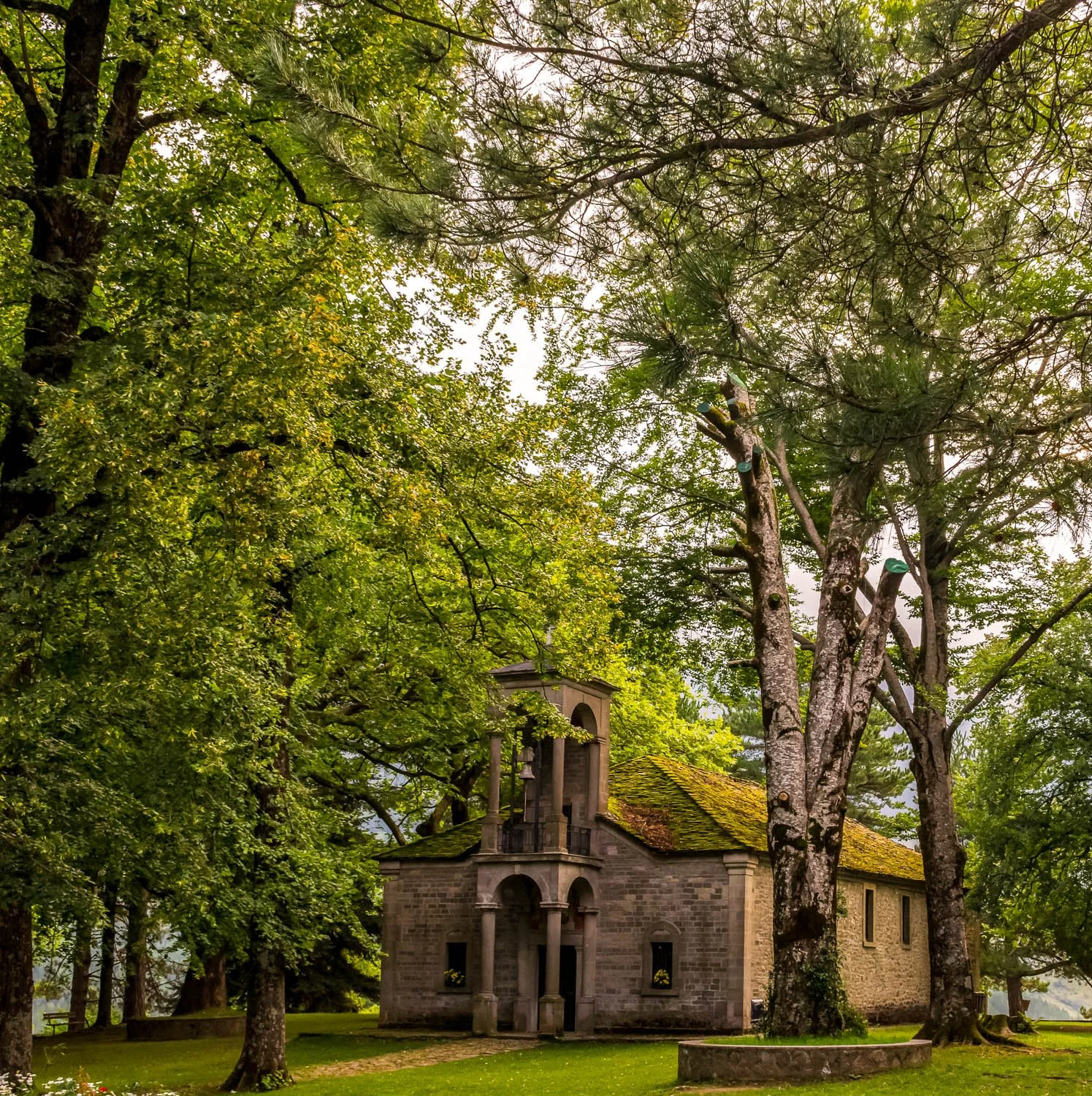 Small stone church surrounded by large trees with green leaves in a lush, green yard.