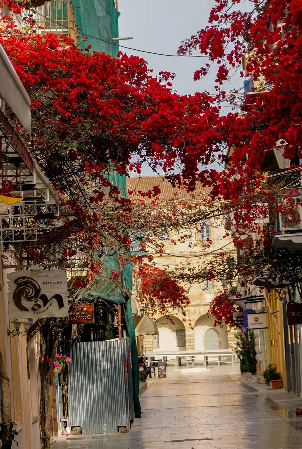 A narrow street lined with shops and cafes, decorated with vibrant red bougainvillea flowers overhead.