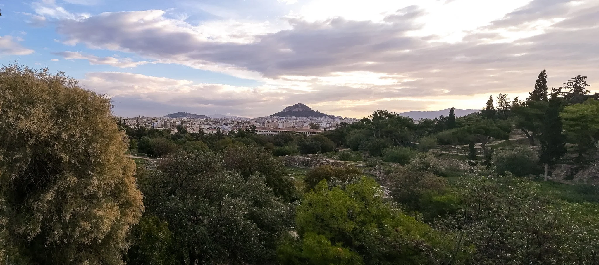 IMG_20231011_083101-Pano-2.jpg