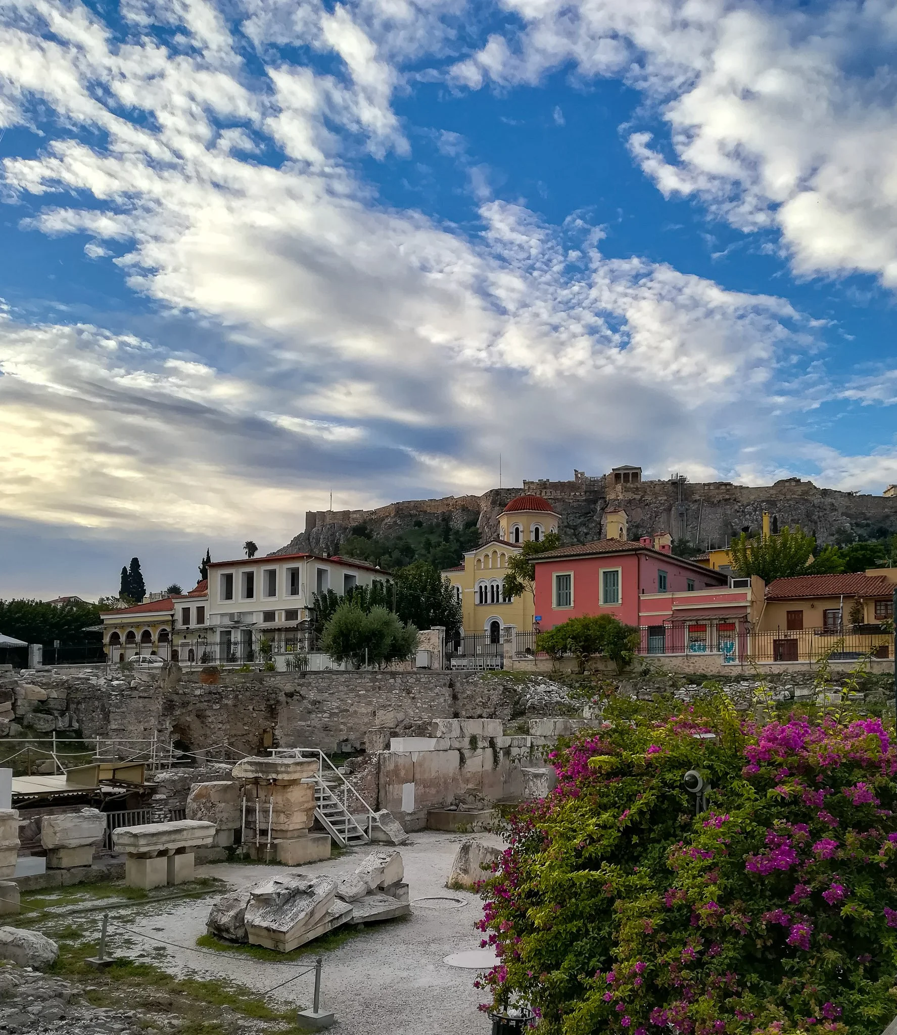 IMG_20231014_082044.jpg