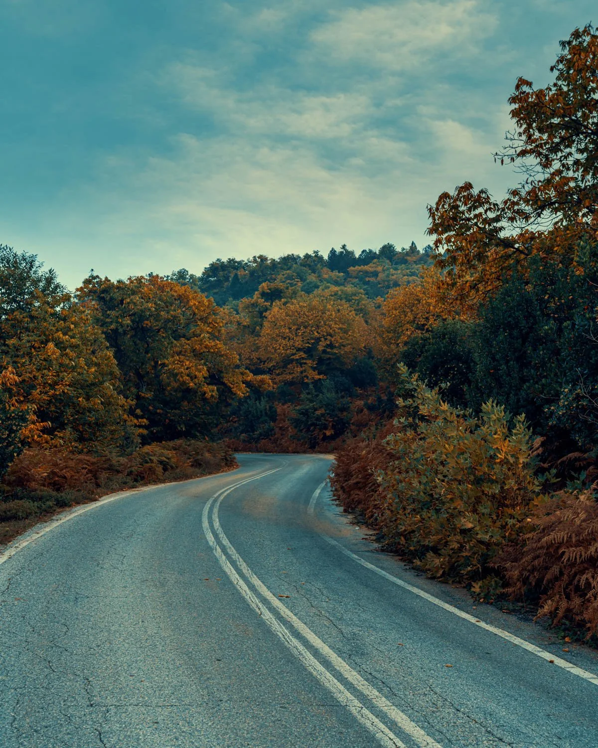 Curving mountain road surrounded by autumn foliage and trees under a partly cloudy sky.
