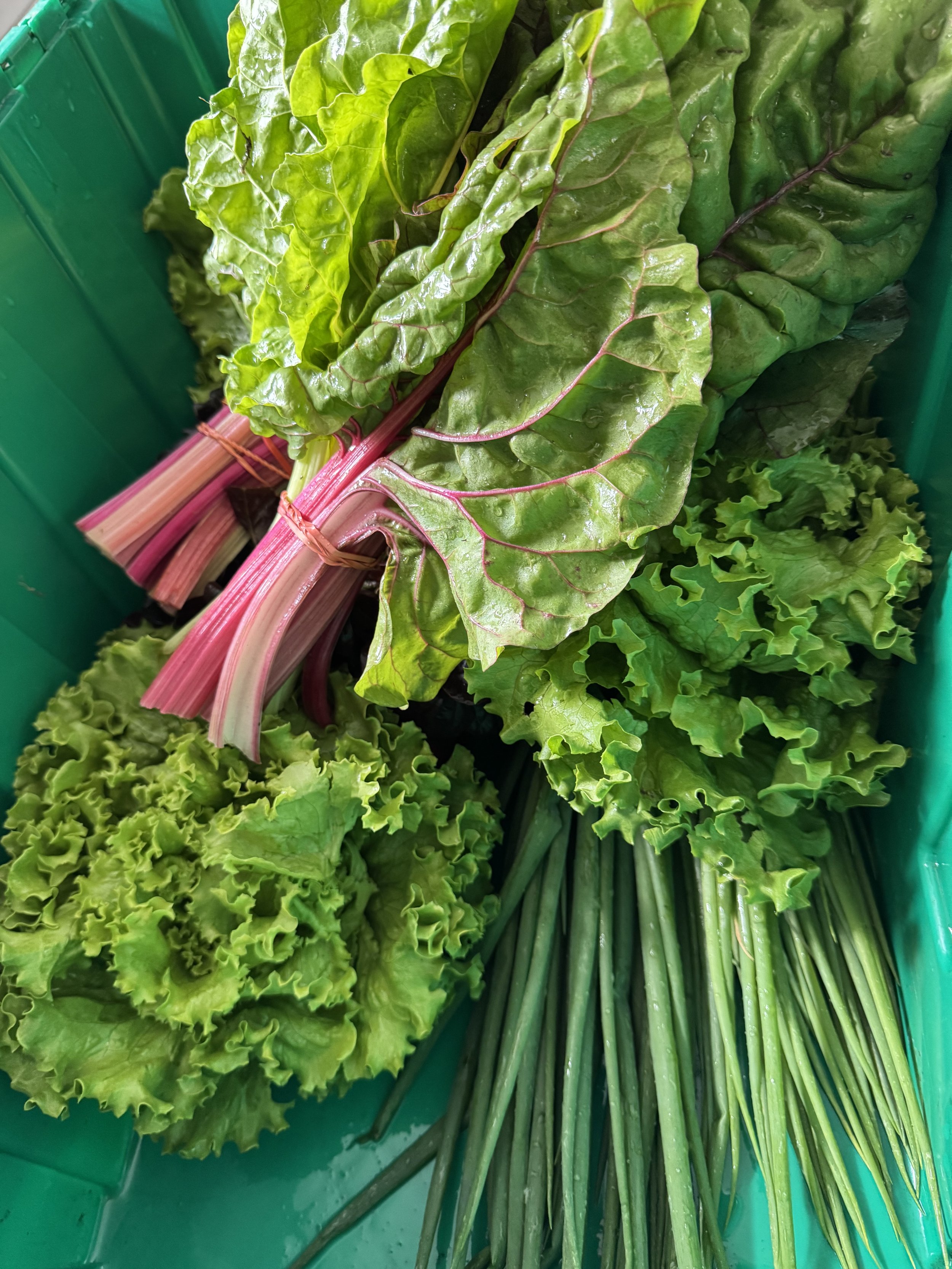 Fresh Local Produce provided by our friends at The Good Food Farm in Ashby, MA. Seasonal varieties can be found in the farm store.