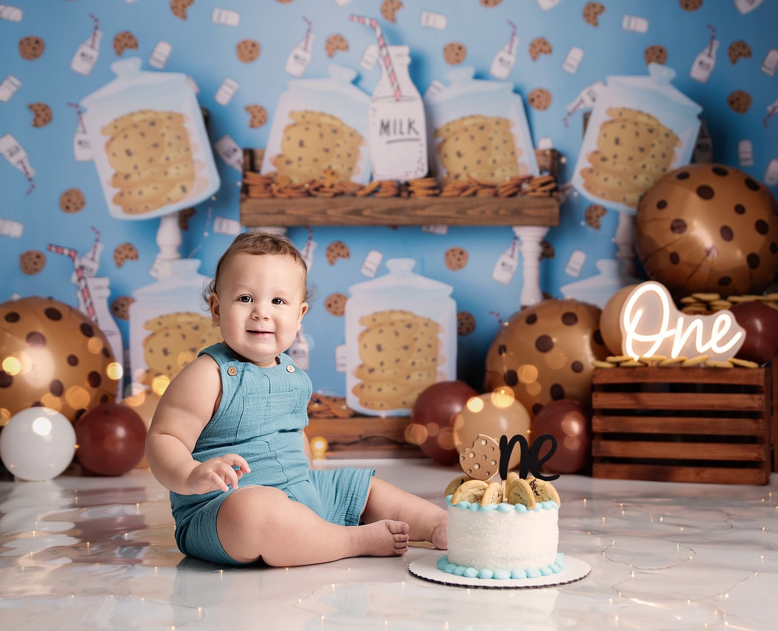 Baby's First Birthday Photographer near LaPorte Indiana.jpg