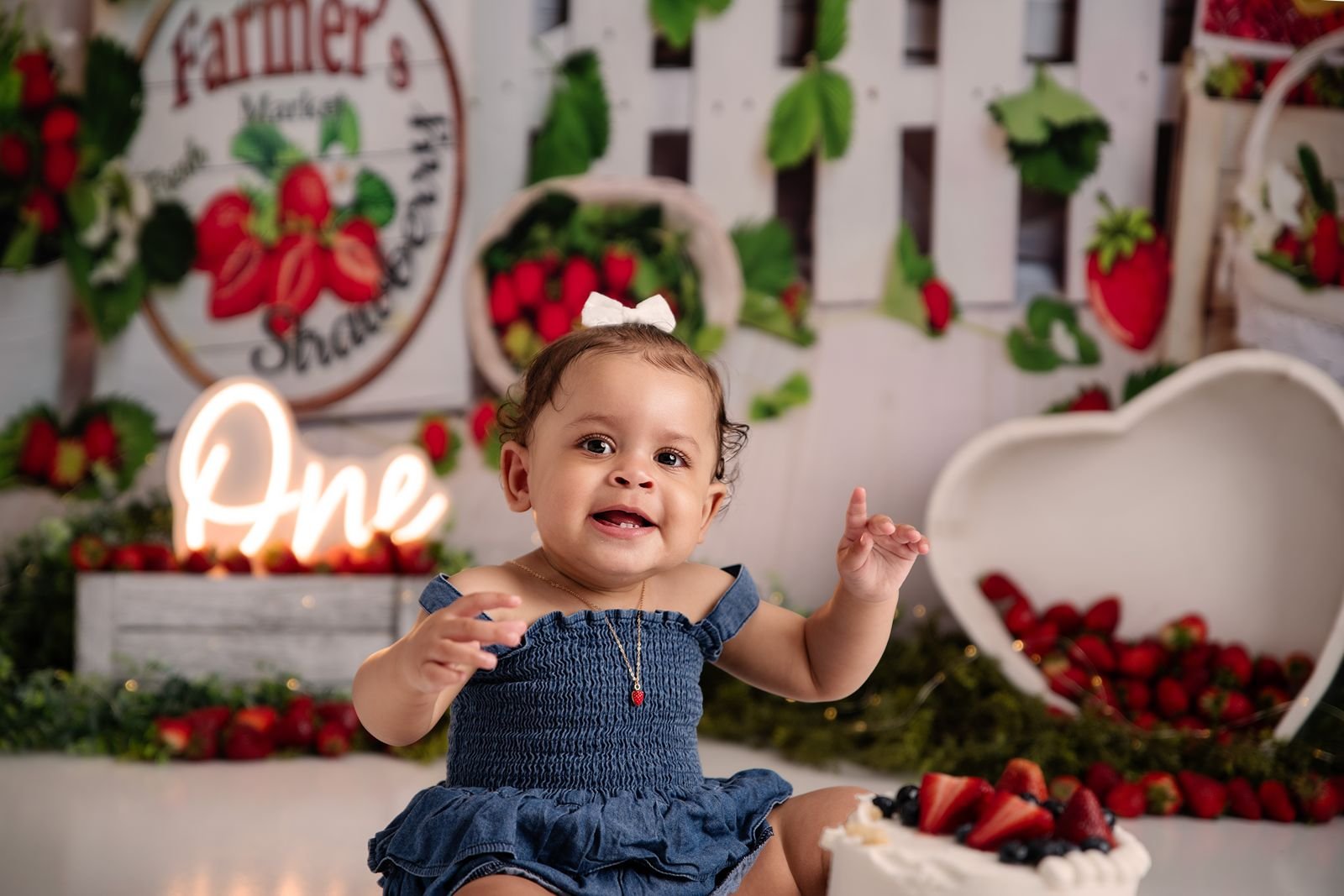 Beverly Shores Indiana First Birthday Photographer.jpg