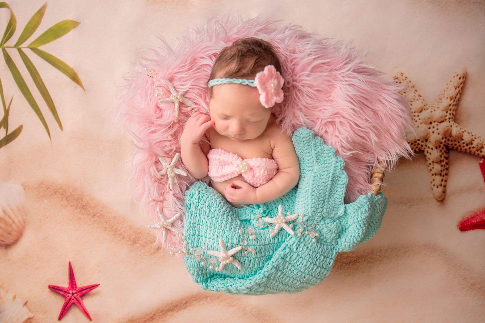 Chicago Suburbs Newborn Photographer.jpg