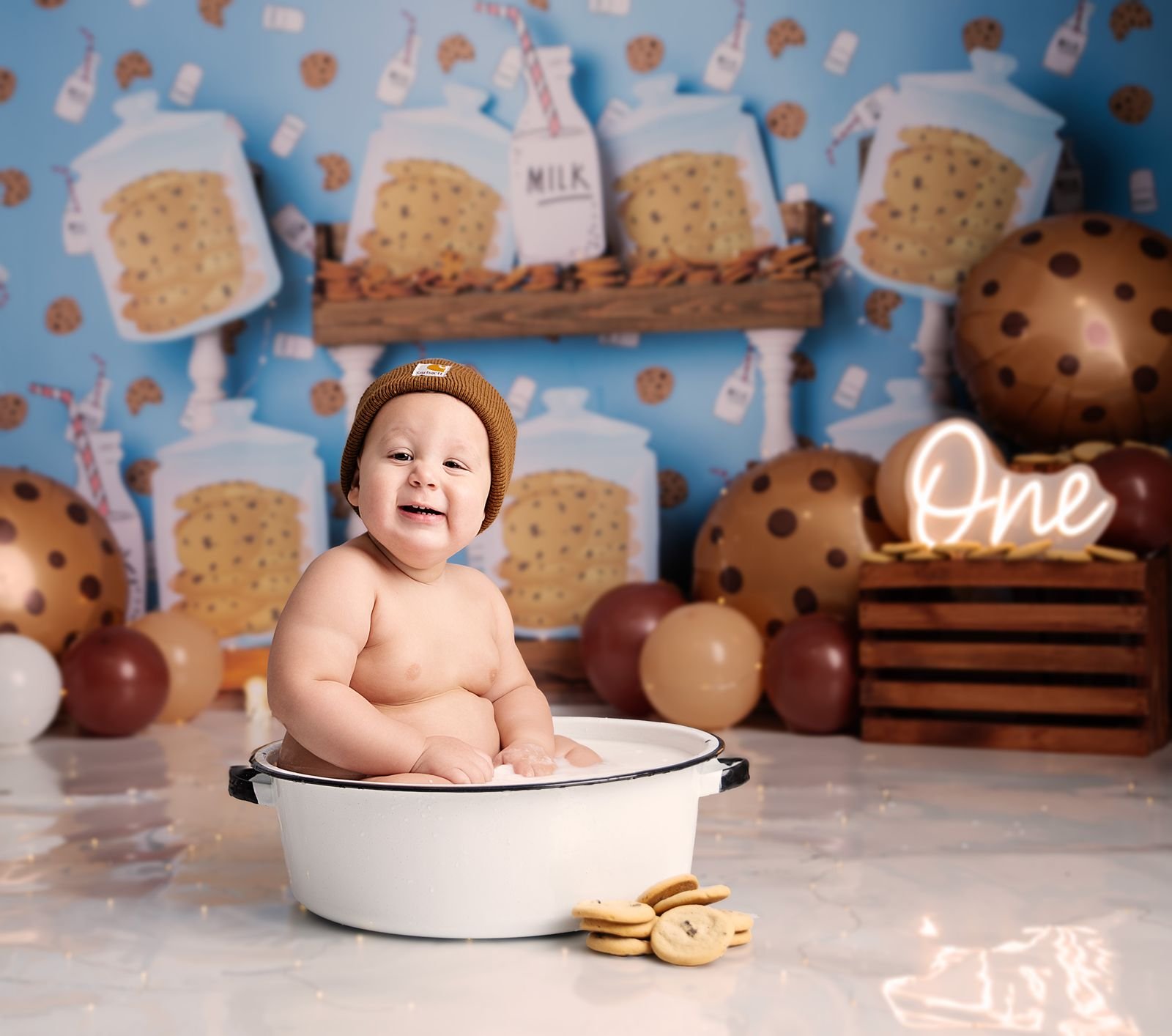 Lake County Indiana Baby's First Birthday Photographer.jpg