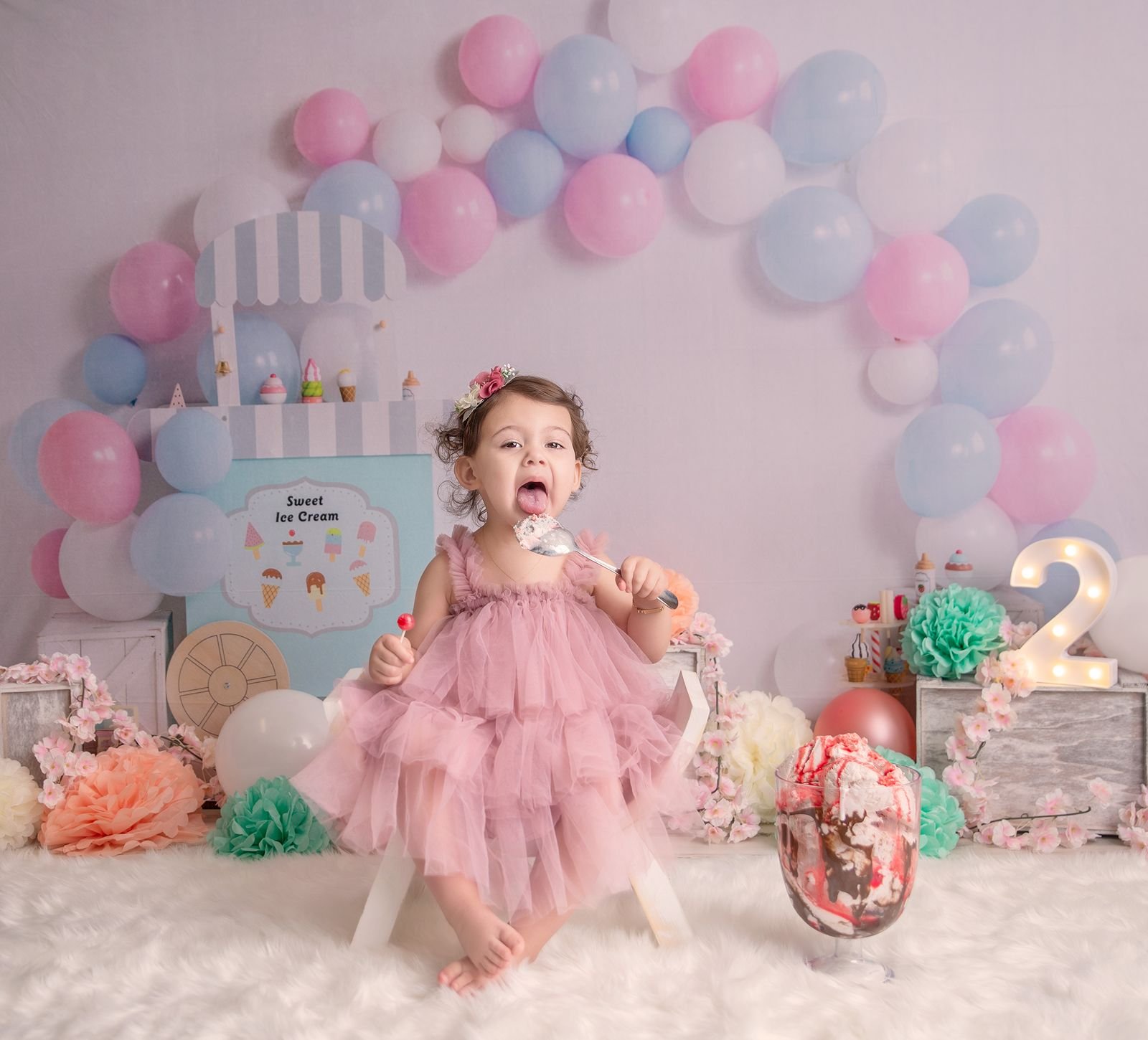 First Birthday Photographer Berrien County Indiana.jpg