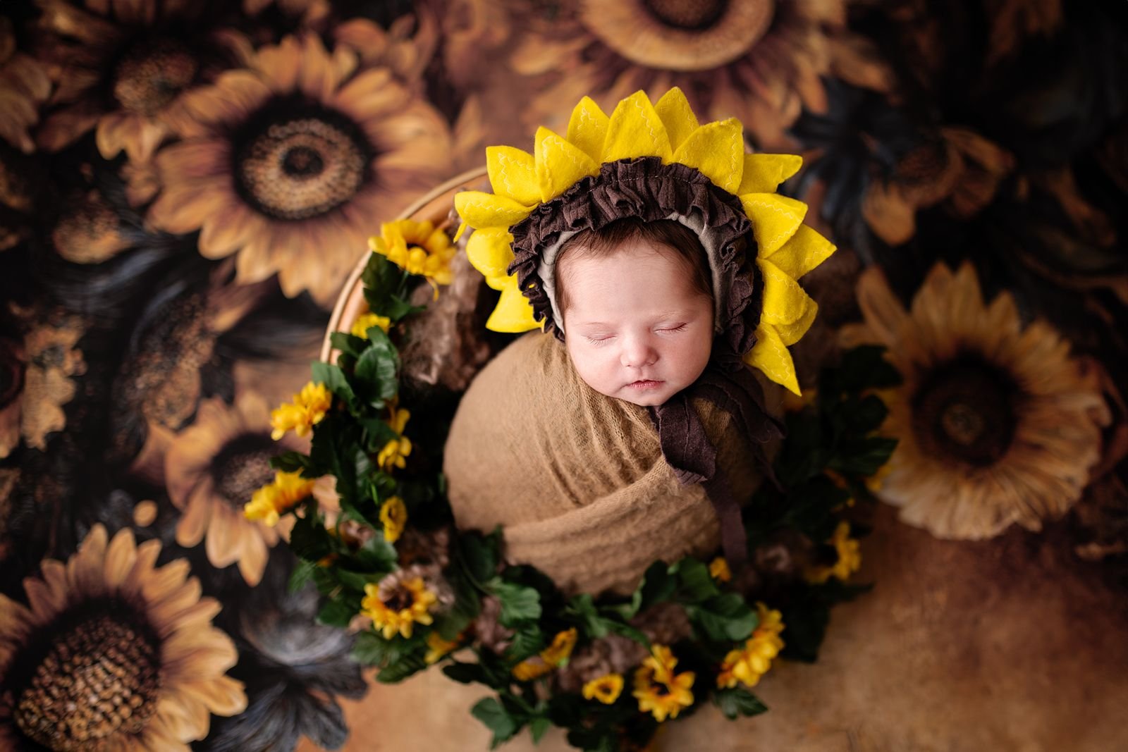 Schererville Indiana's Best Newborn Photographer.jpg