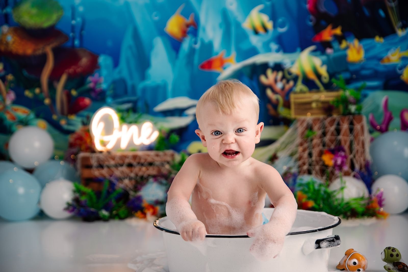 New Carlisle Indiana First Birthday Photographer.jpg