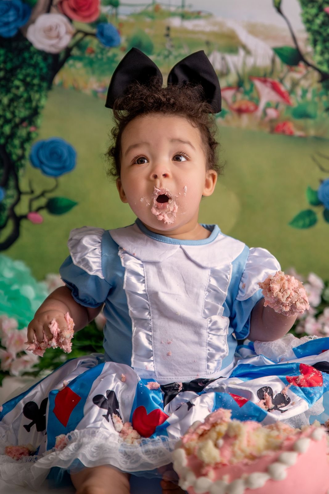 First Birthday Photographer Northwest Indiana.jpg