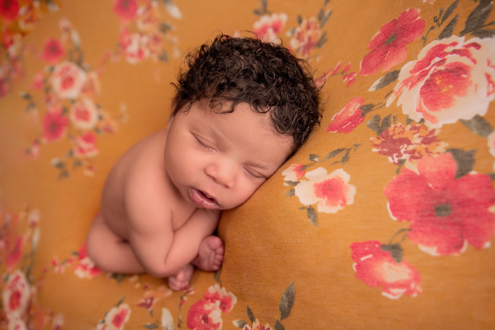 South Bend Indiana Baby Photographer.jpg