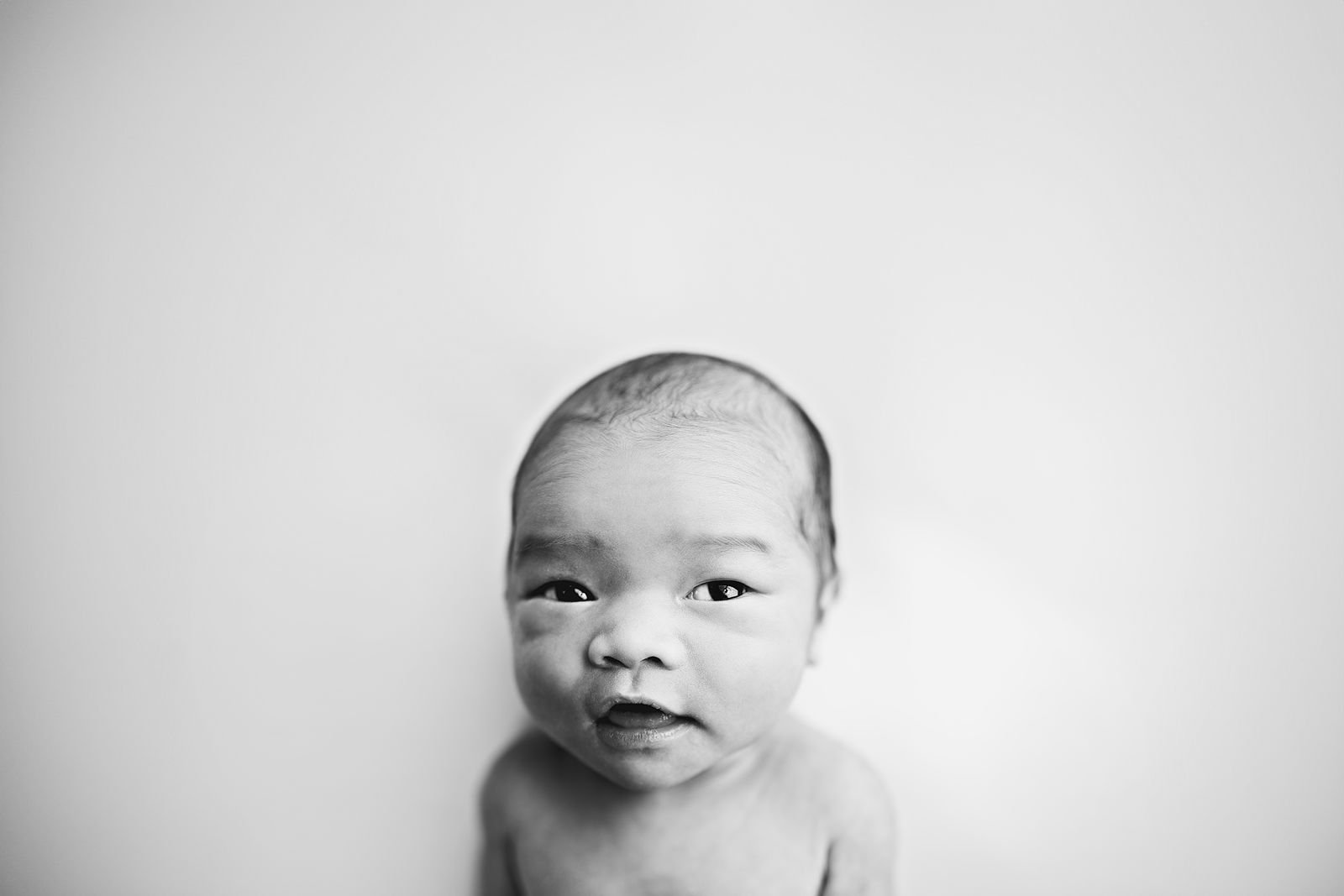 Best Luxury Newborn Photographer in Southwestern Michigan.jpg
