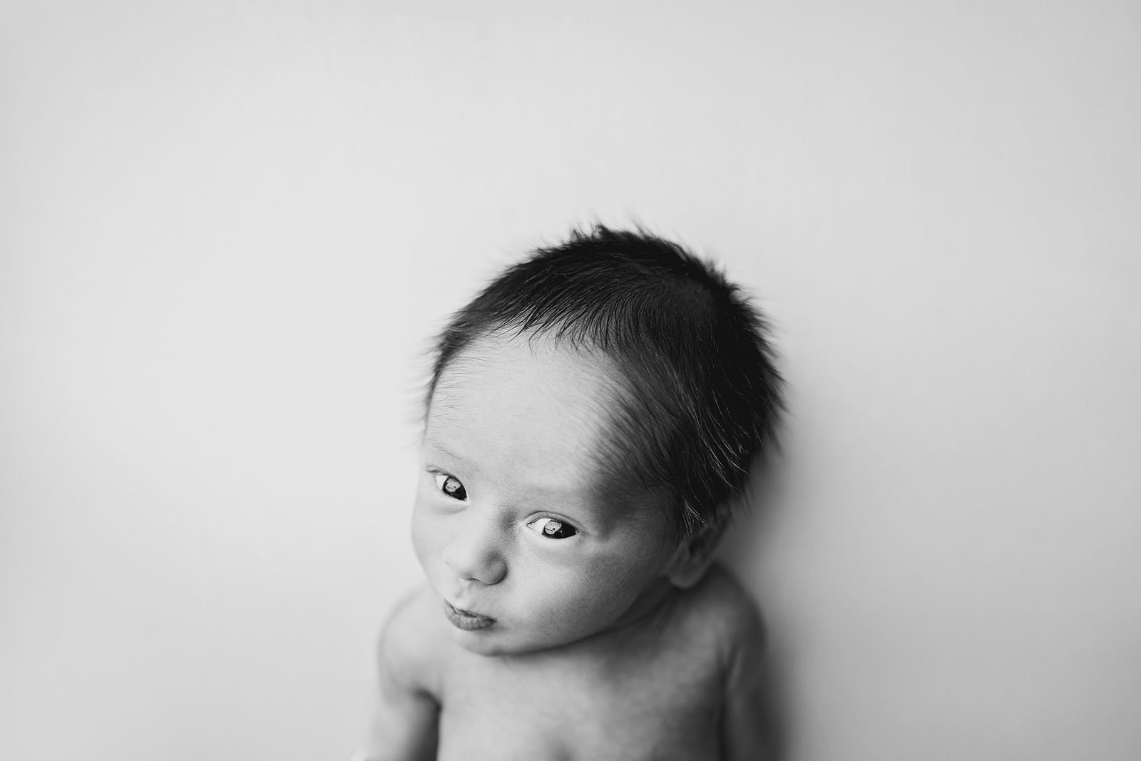 Joliet Illinois Best Newborn Photographer.jpg