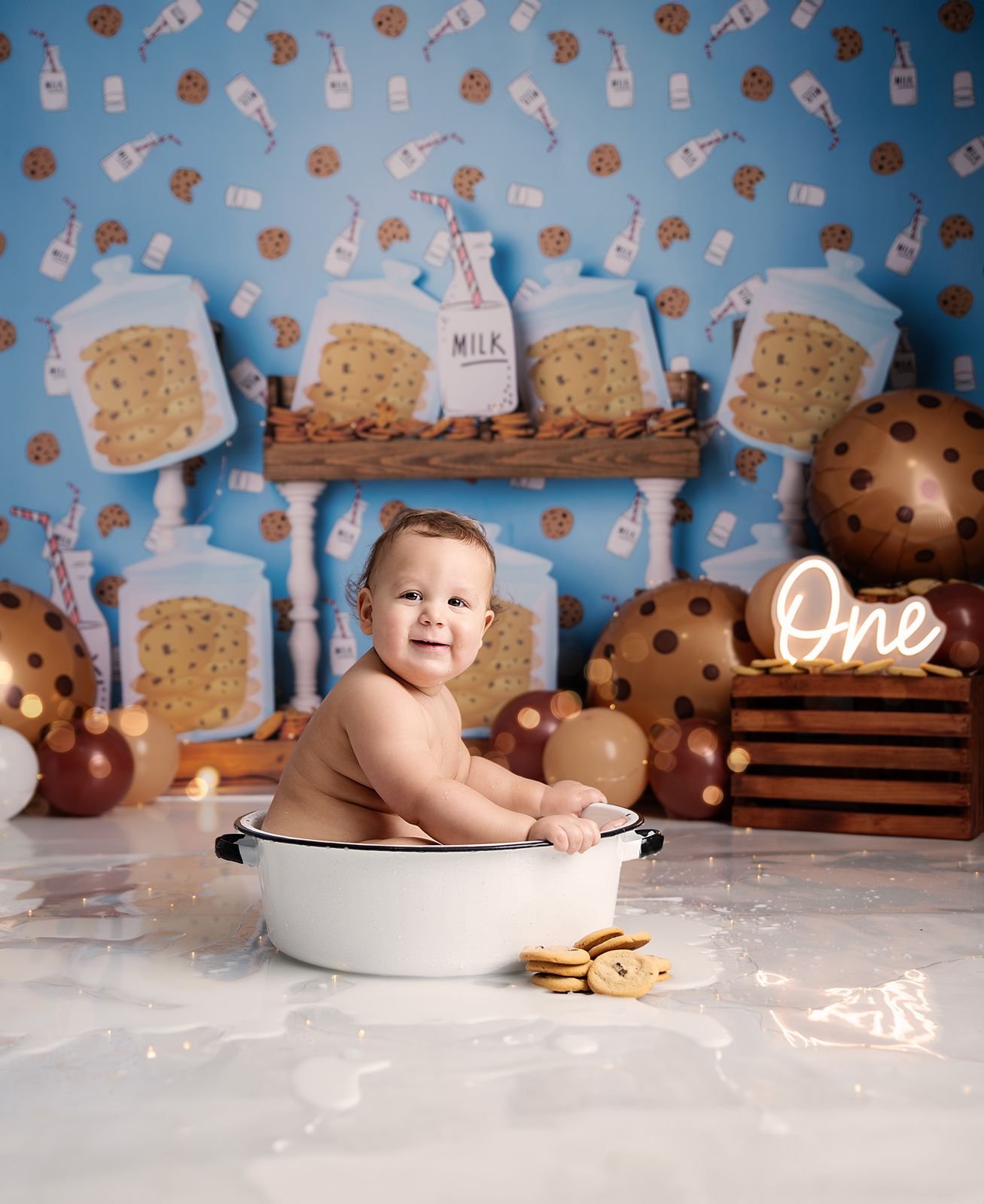 Baby's First Birthday Photographer in Northwest Indiana.jpg
