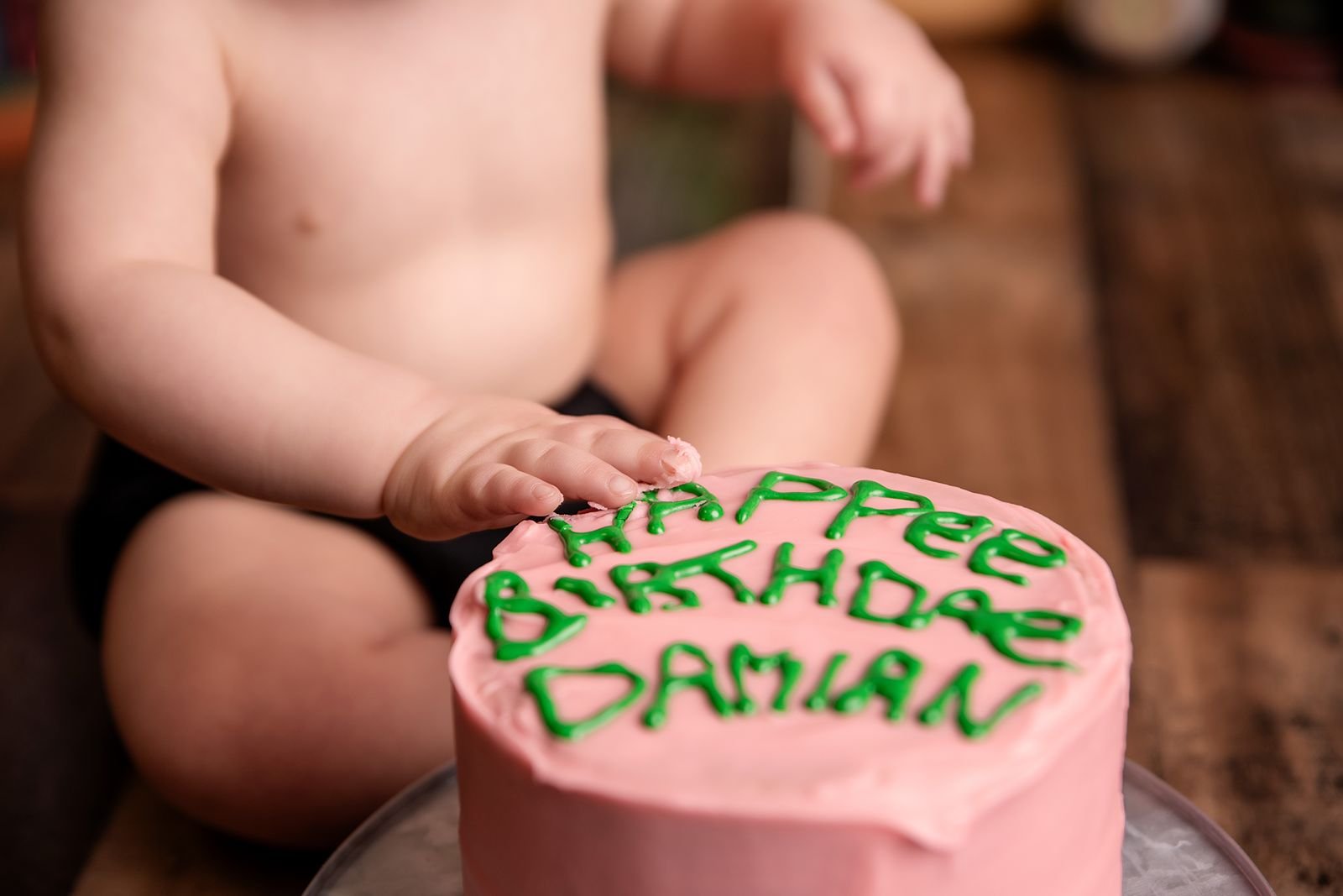 Chesterton Indiana First Birthday Photographer.jpg