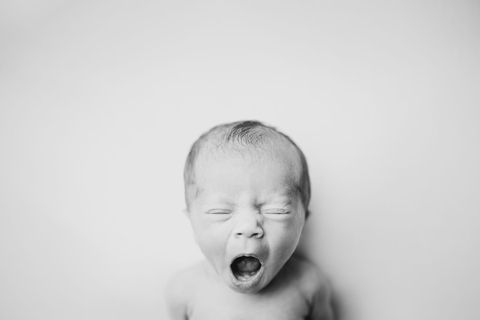 Beverly Shores Indiana's Best Newborn Photographer.jpg