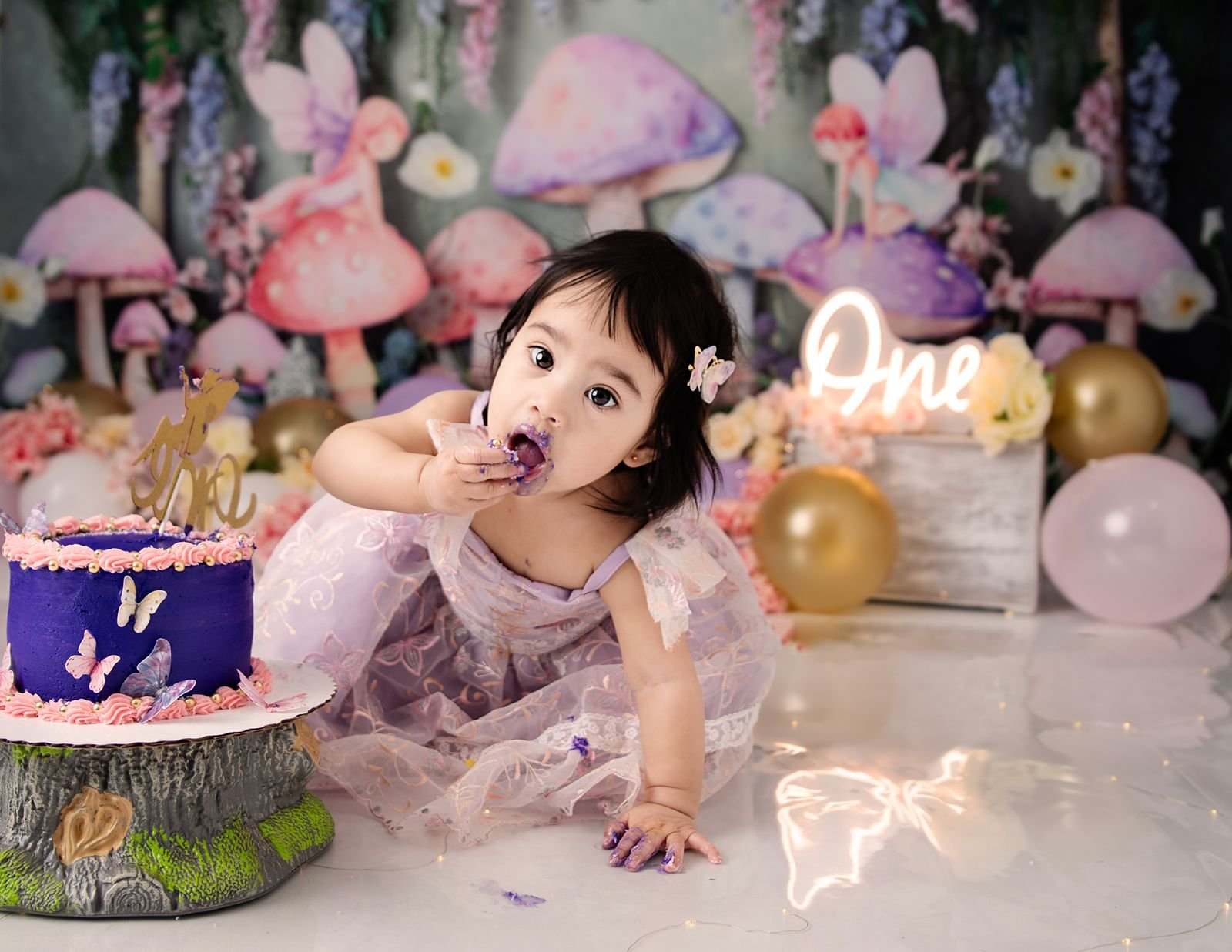 Valparaiso Indiana First Birthday Photographer.jpg