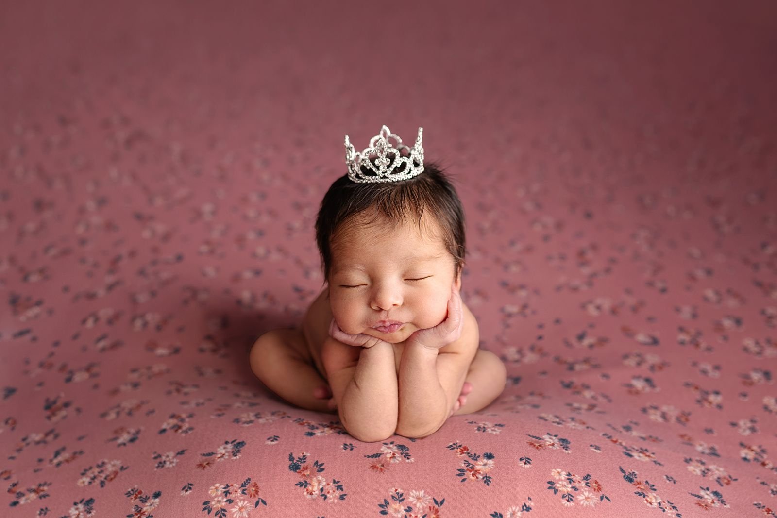 Luxury Newborn Photographer near South Bend Indiana.jpg
