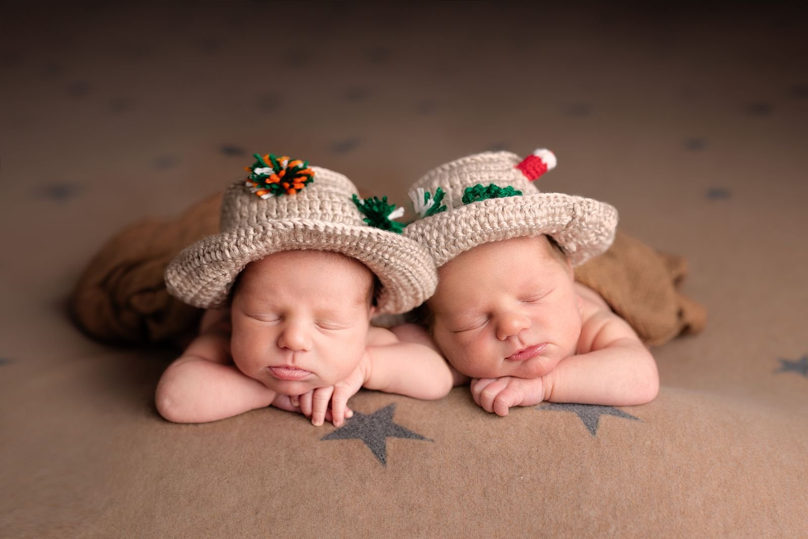 Twin Newborn Photographer in NWI.jpg