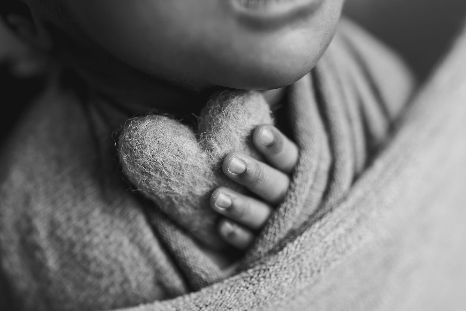 Highland Park Illinois Best Newborn Photographer.jpg