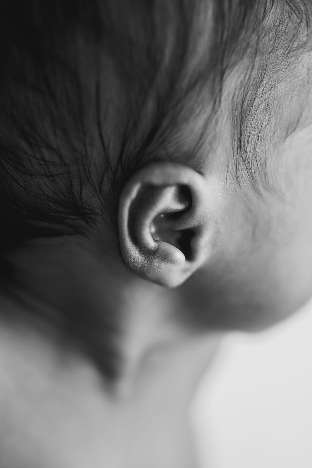 Wilmette Illinois Best Newborn Photographer.jpg