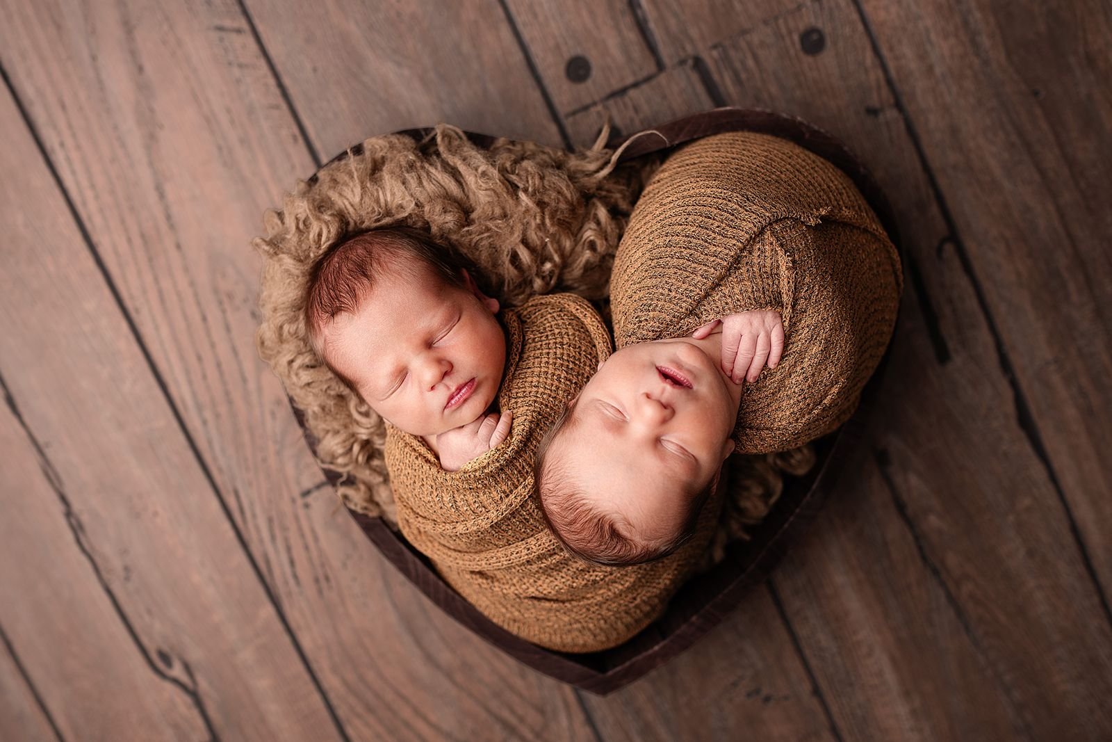 Twin Newborn Photographer near Michiana.jpg