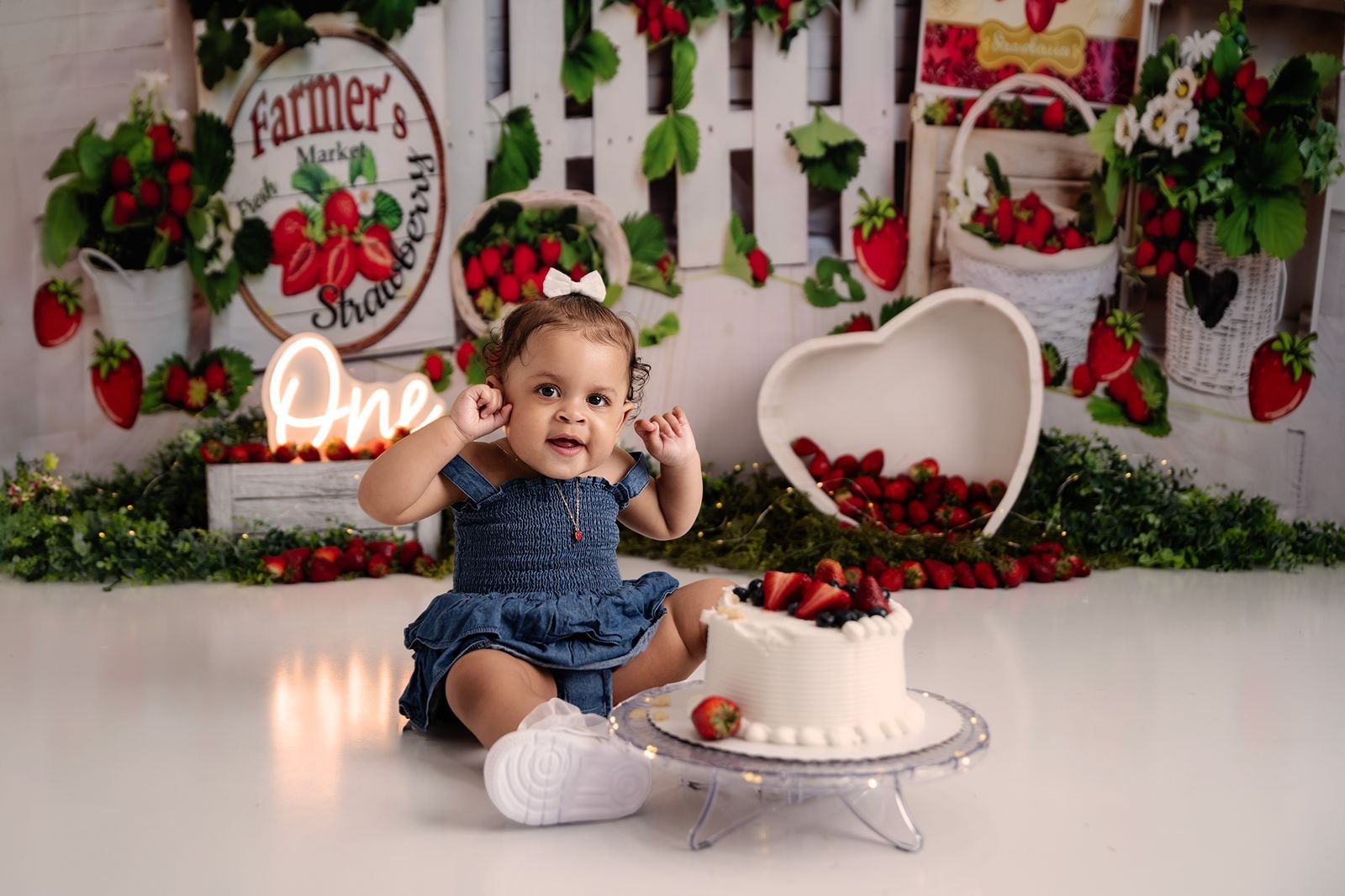LaPorte Indiana First Birthday Photographer.jpg