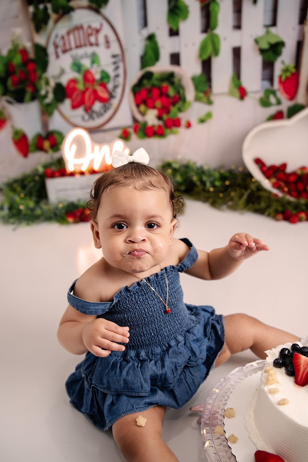Michiana Michigan First Birthday Photographer.jpg