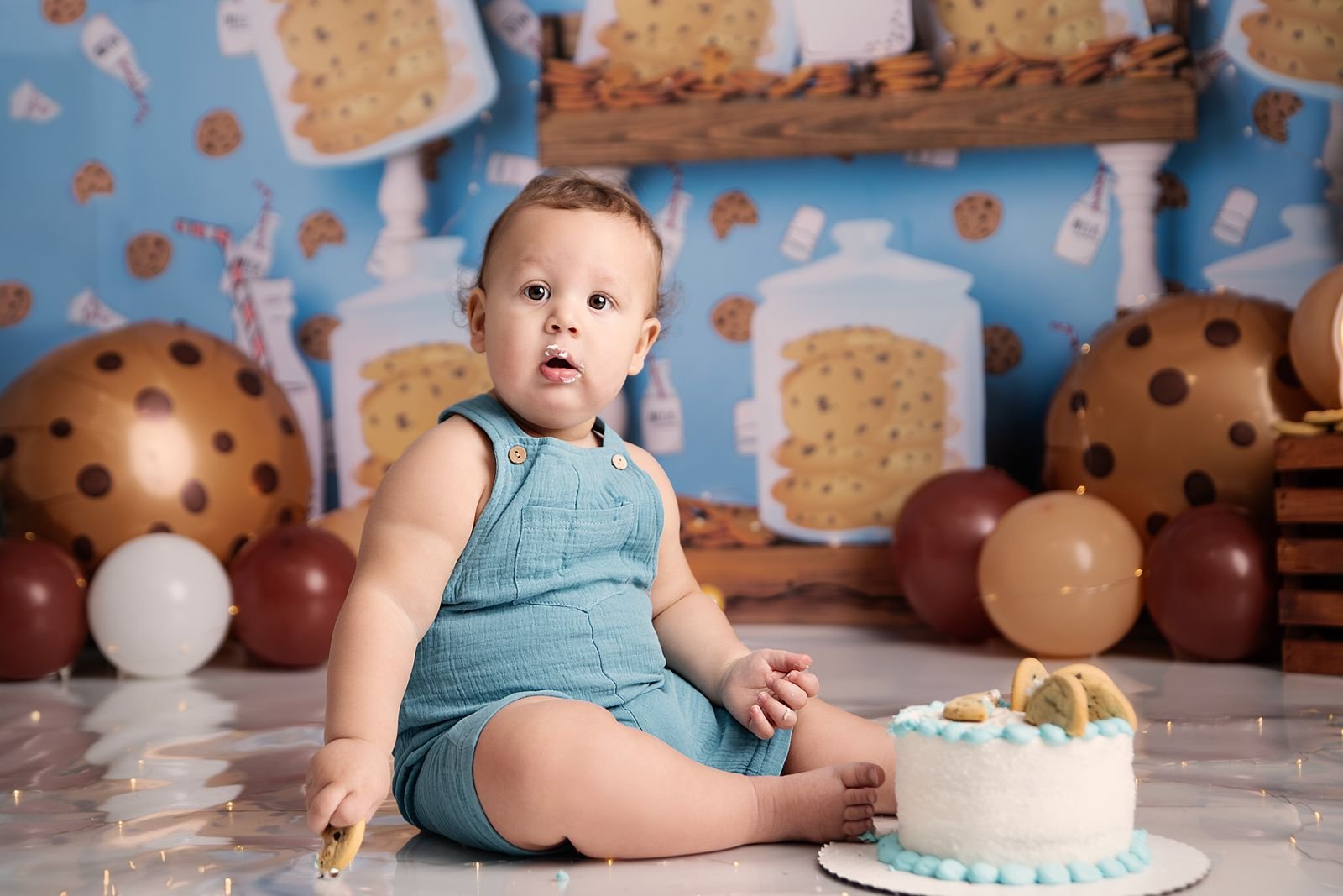 Lake County Indiana First Birthday Photographer.jpg
