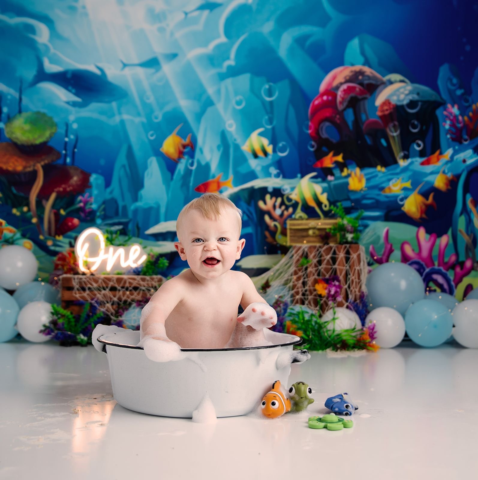 Niles Michigan First Birthday Photographer.jpg