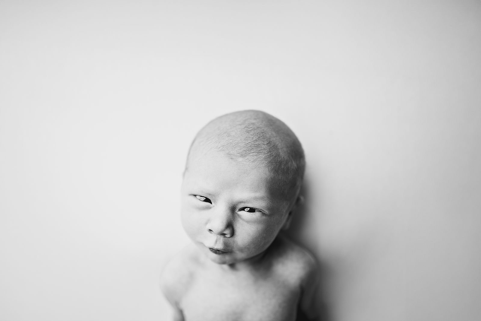Southwestern Michigan's Best Newborn Photographer.jpg