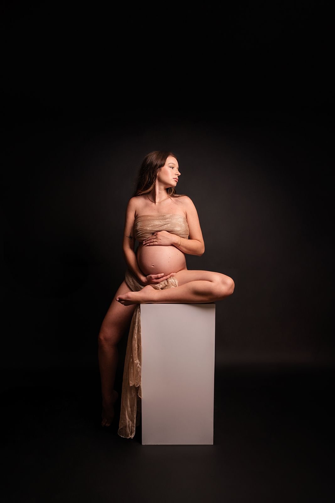 South Bend, IN Maternity Photographer.jpg