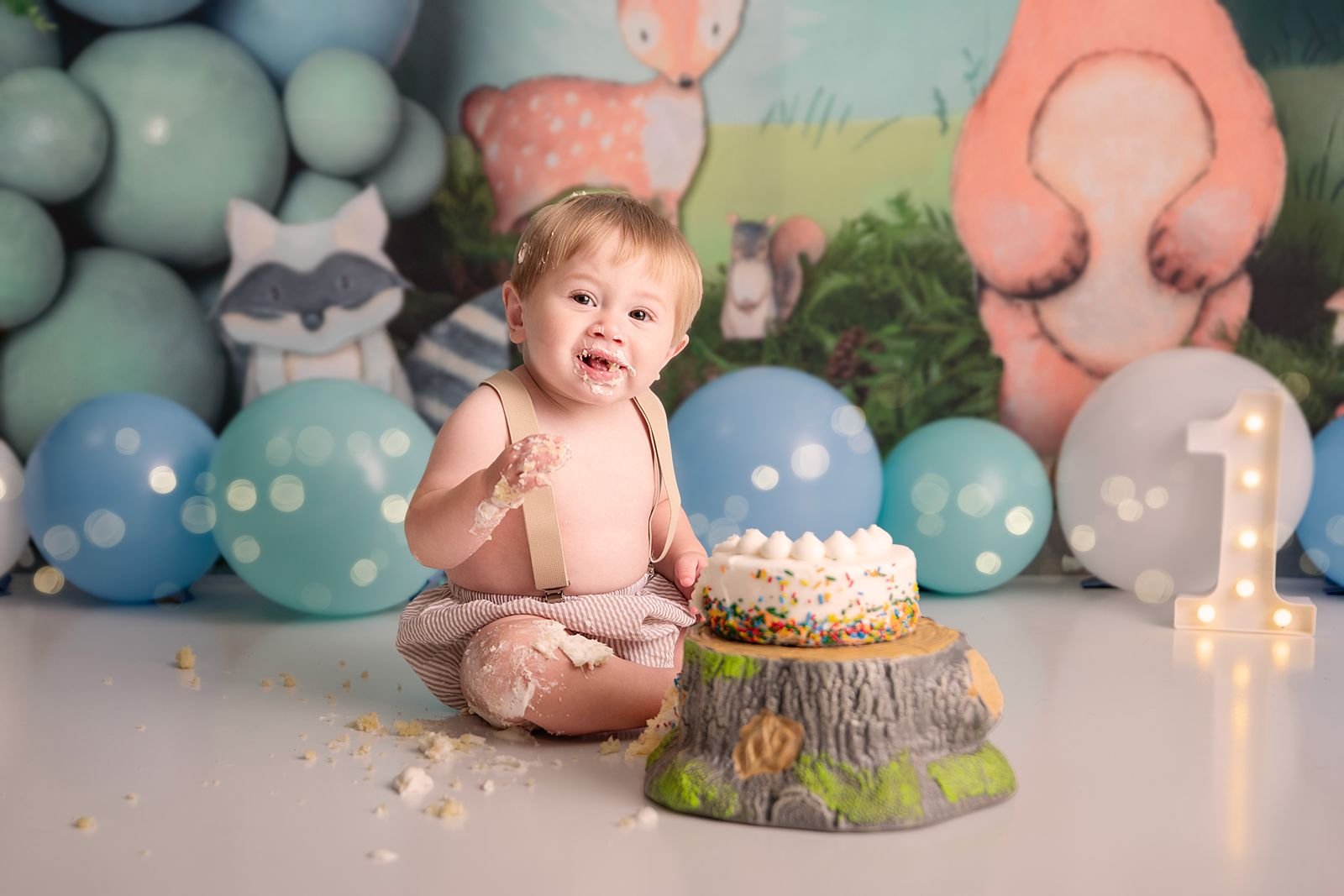 South Bend Indiana First Birthday Photographer.jpg